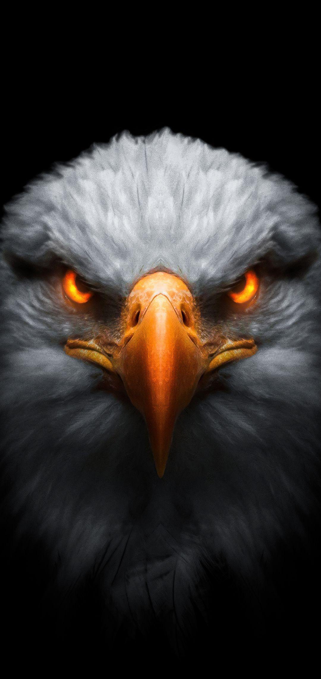 1080x2280 Eagle Red Glowing Eyes In 1080x2280 Resolution. Eagle wallpaper, Eyes wallpaper, Eagle image