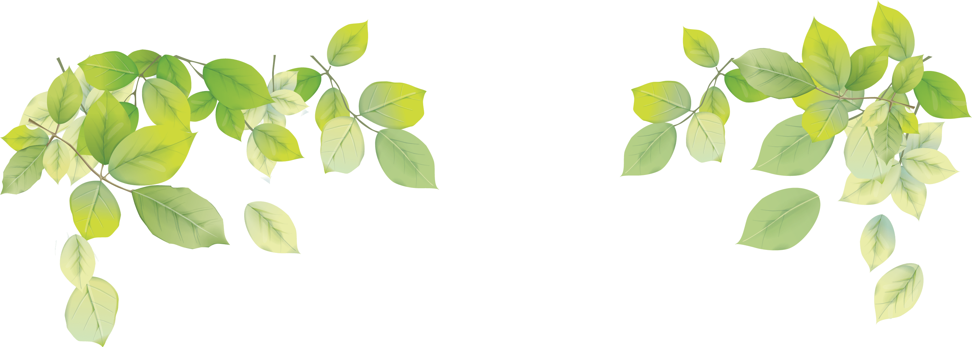 3229x1154 Laptop Leaf Desktop Wallpaper PNG Leaf png download*1154 Transparent Laptop png Download