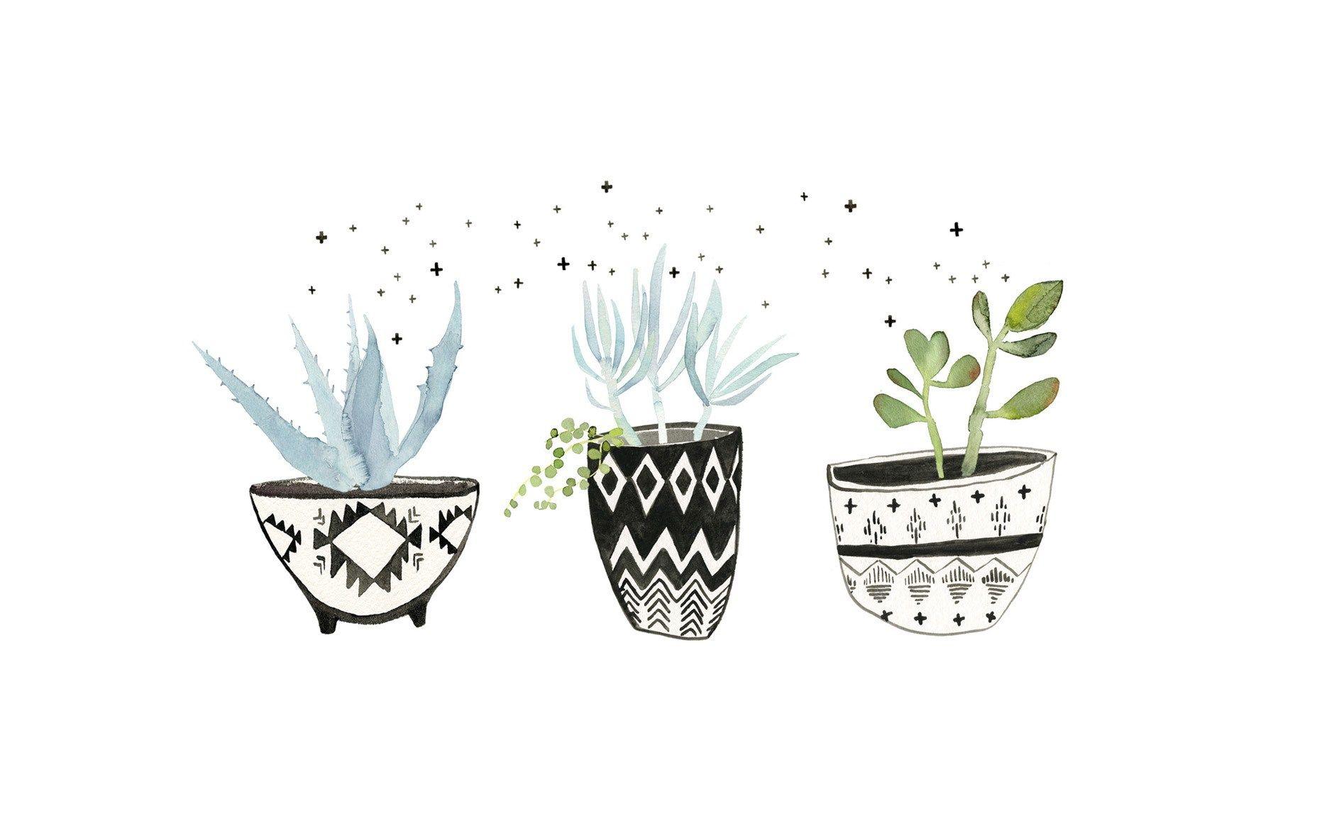1856x1161 Watercolor Desktop Wallpaper Plants