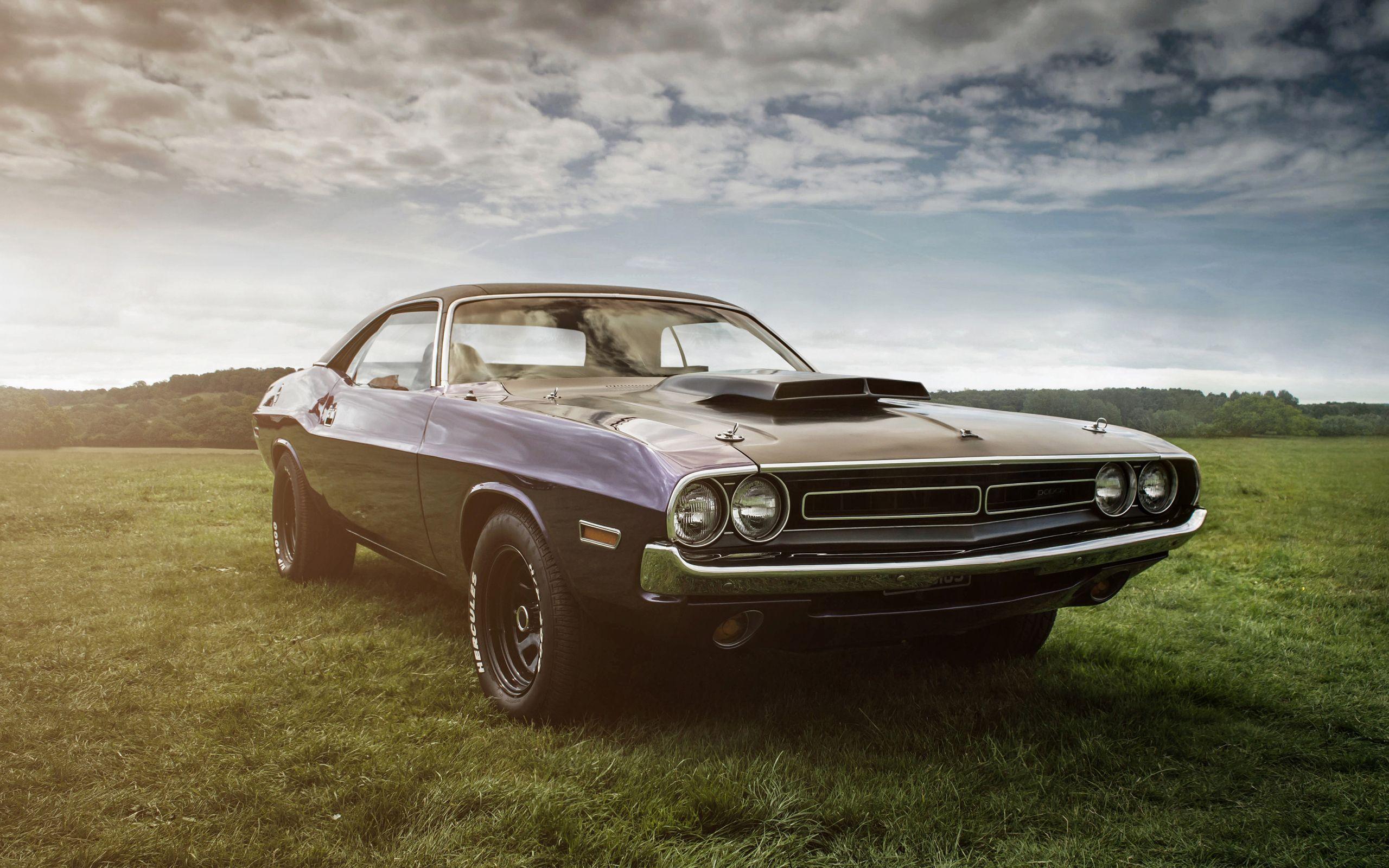 2560x1600 Desktop Wallpaper Dodge Challenger, Race Car, 4k, HD Image, Picture, Background, 96cc76