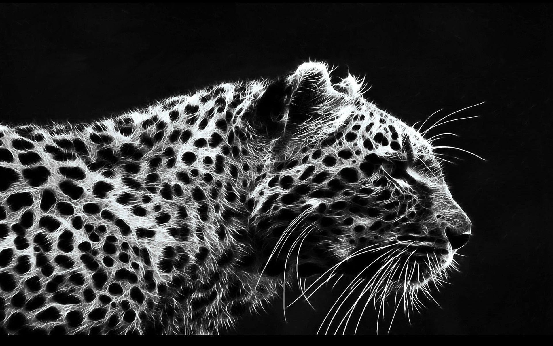 Leopard Black and White Wallpapers - Top Free Leopard Black and White
