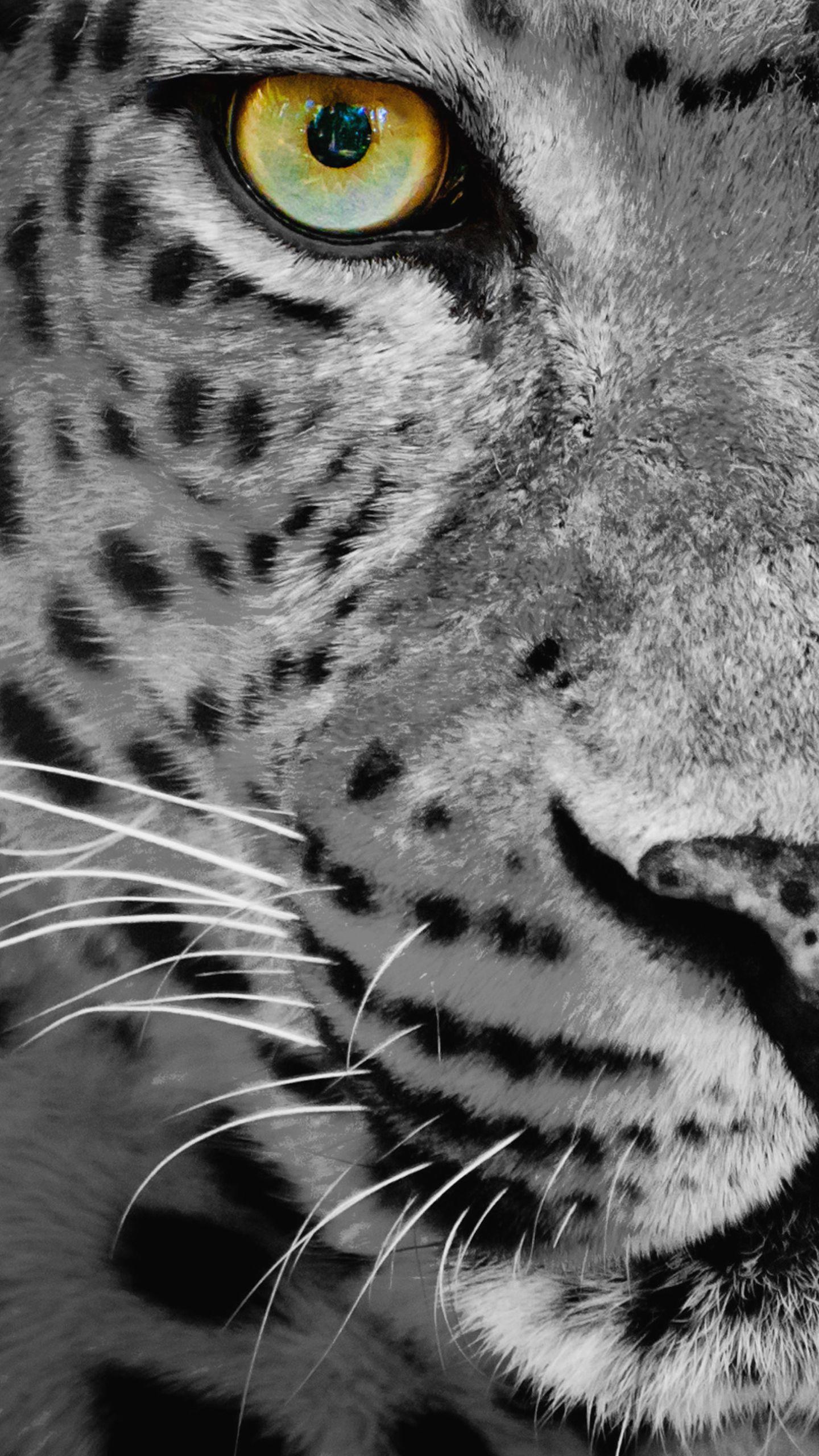 1440x2560 Samsung Galaxy S7 Leopard Black and White Wallpaper​-Quality Free Image and Transparent PNG Clipart