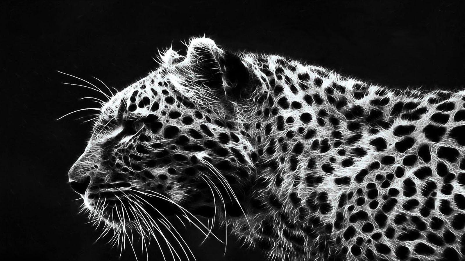 1600x900 White Cheetah Wallpaper