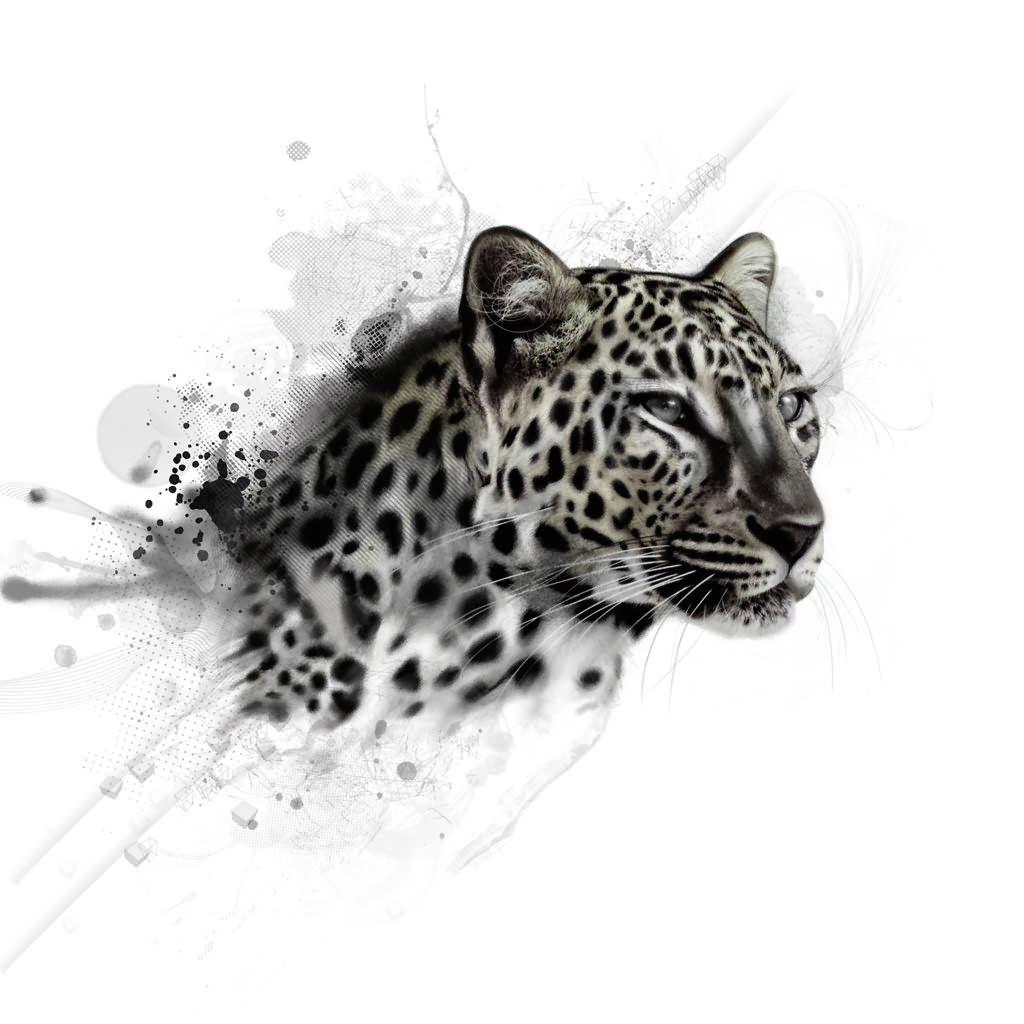 1024x1024 Black and White Spotted Wallpaper