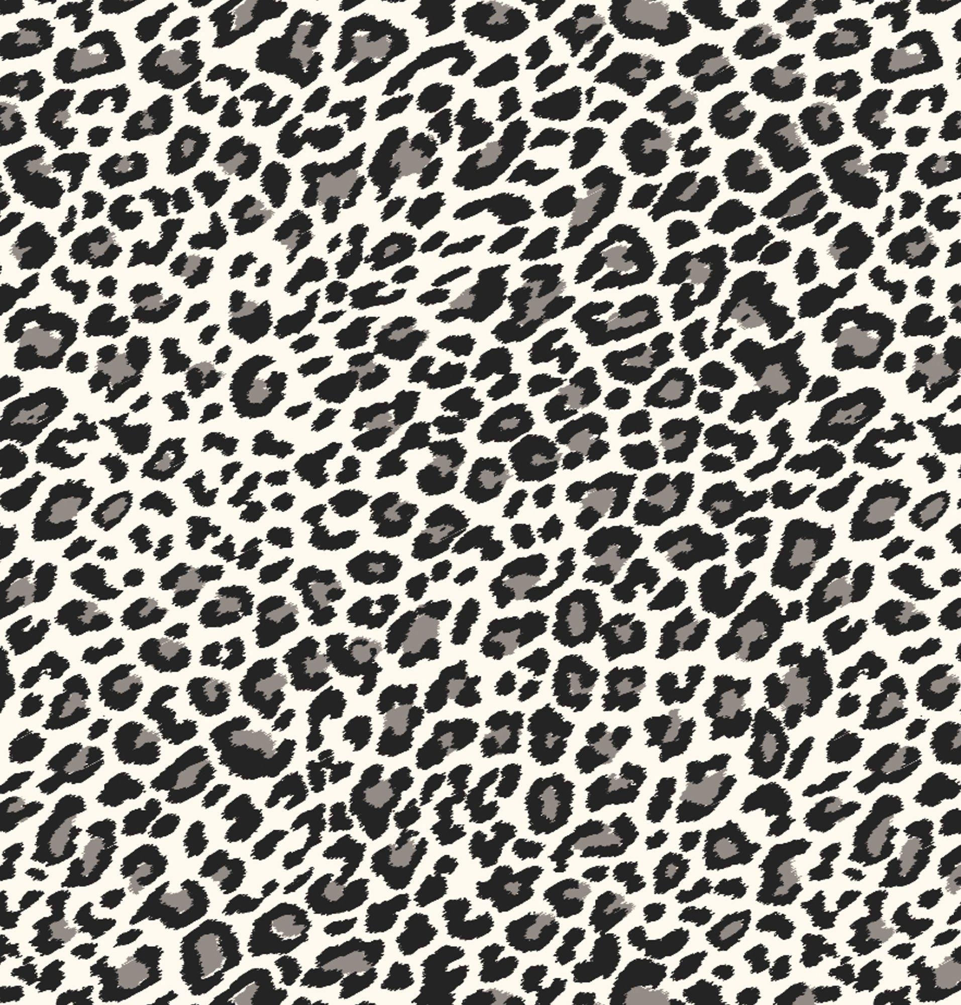 Leopard Black and White Wallpapers - Top Free Leopard Black and White ...