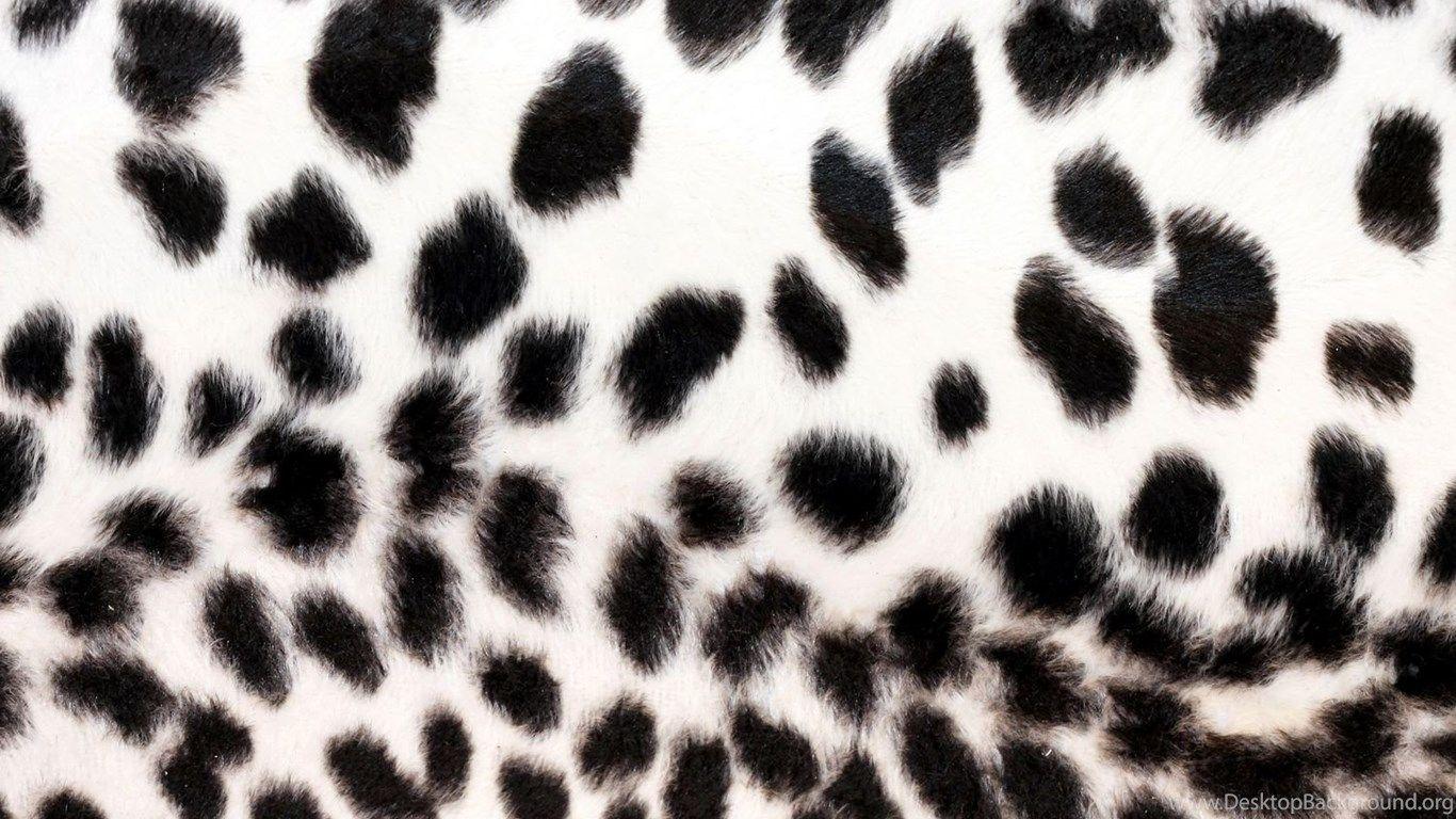 1366x768 Jestingstock.com Leopard Print Black And White Wallpaper Desktop Background