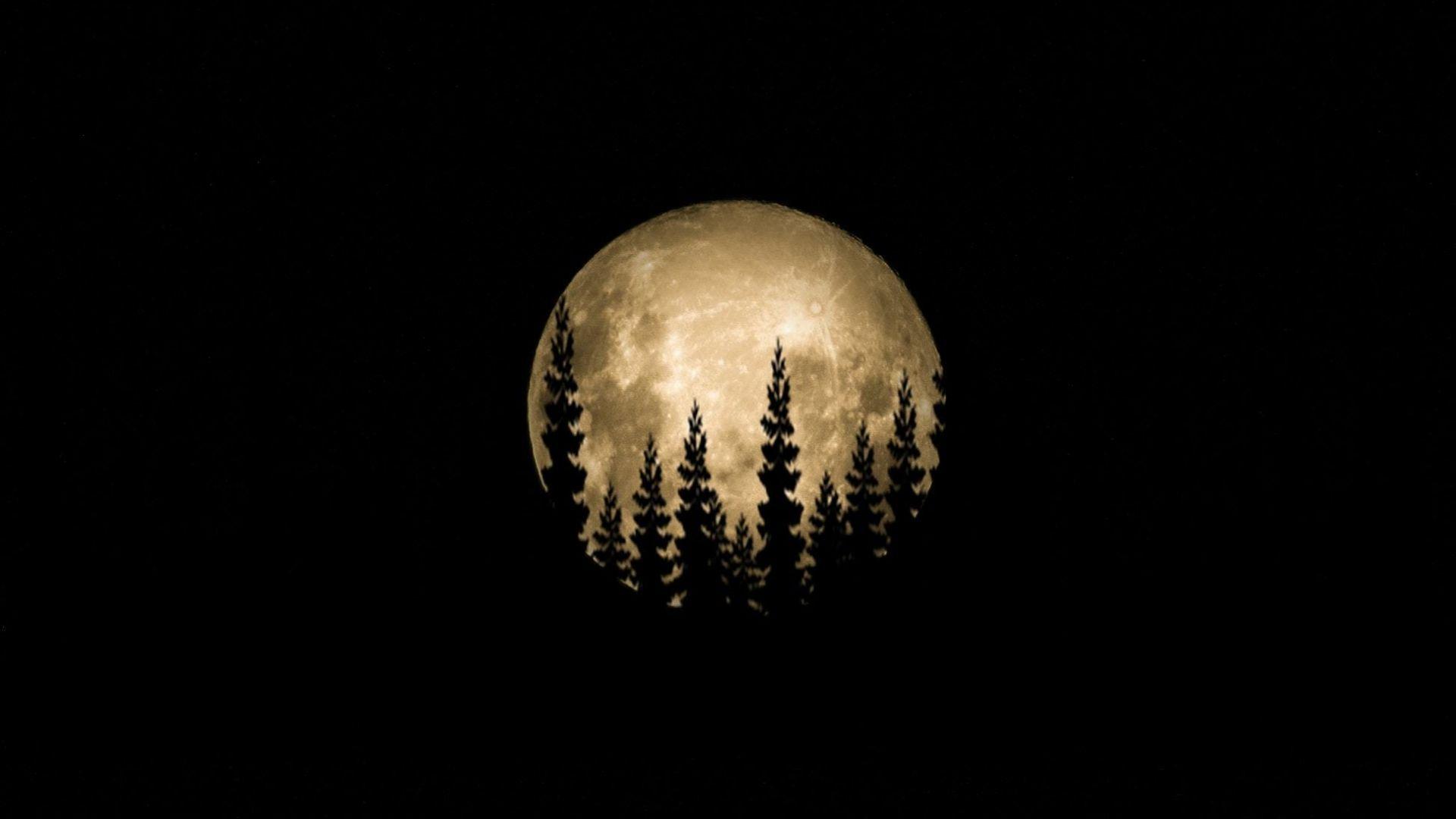 1920x1080 Desktop wallpaper minimal, full moon, trees, HD image, picture, background, 3ee8c8
