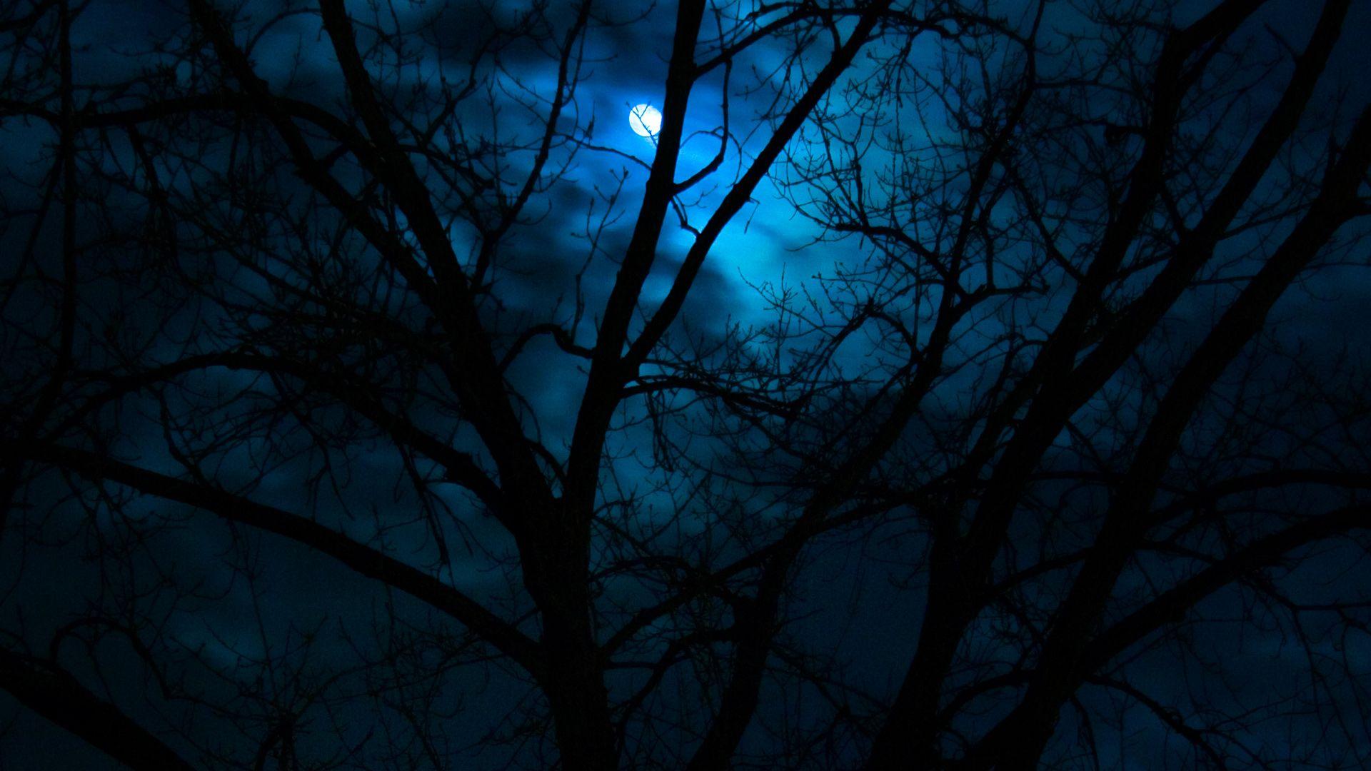 1920x1080 Dark Scenery