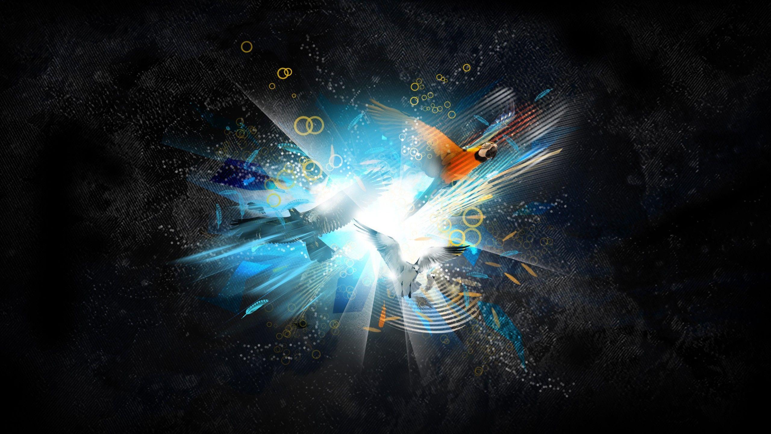 2560x1440 abstract birds 2560x1440 wallpaper High Quality Wallpaper, High Definition Wallpaper