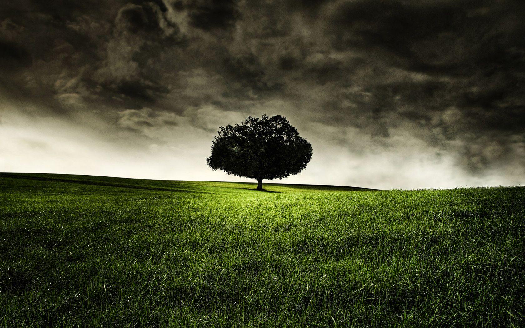 1680x1050 Dark prairie Wallpaper 23505 landscape scenery