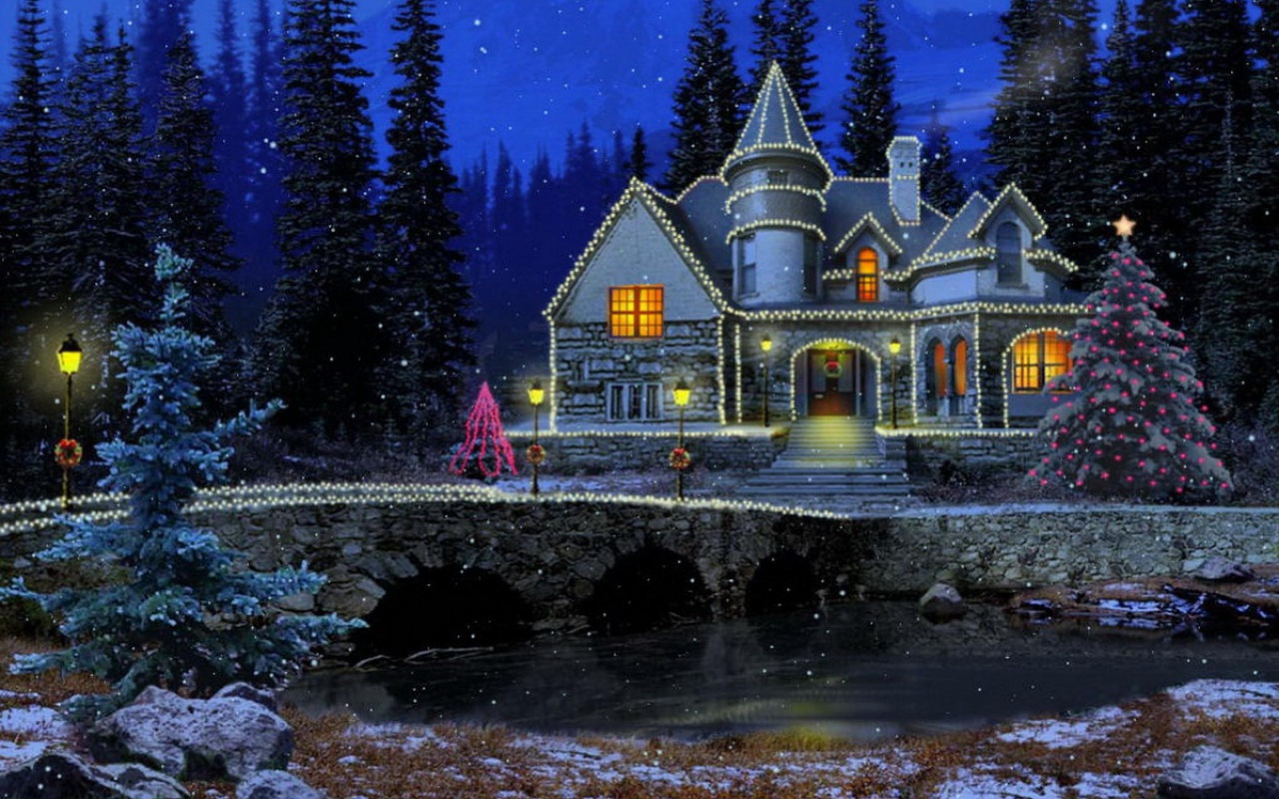 2560x1600 Beautiful Winter Night Wallpaper
