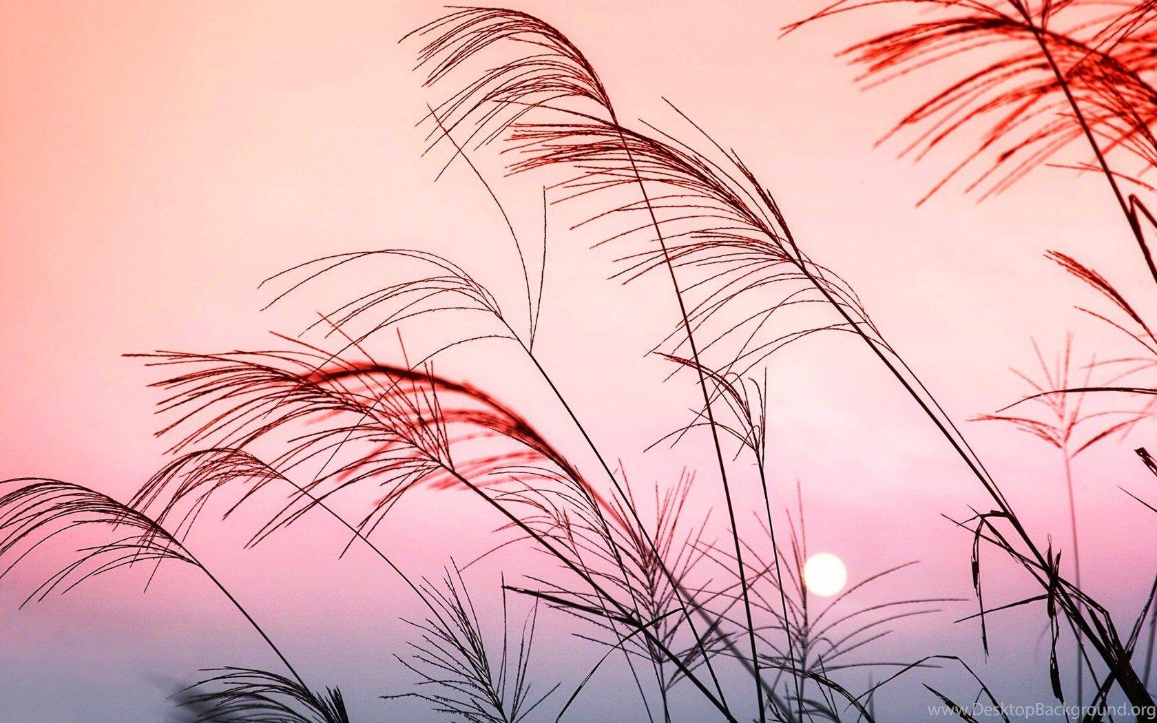 1680x1050 Pastel HD Wallpaper Desktop Background