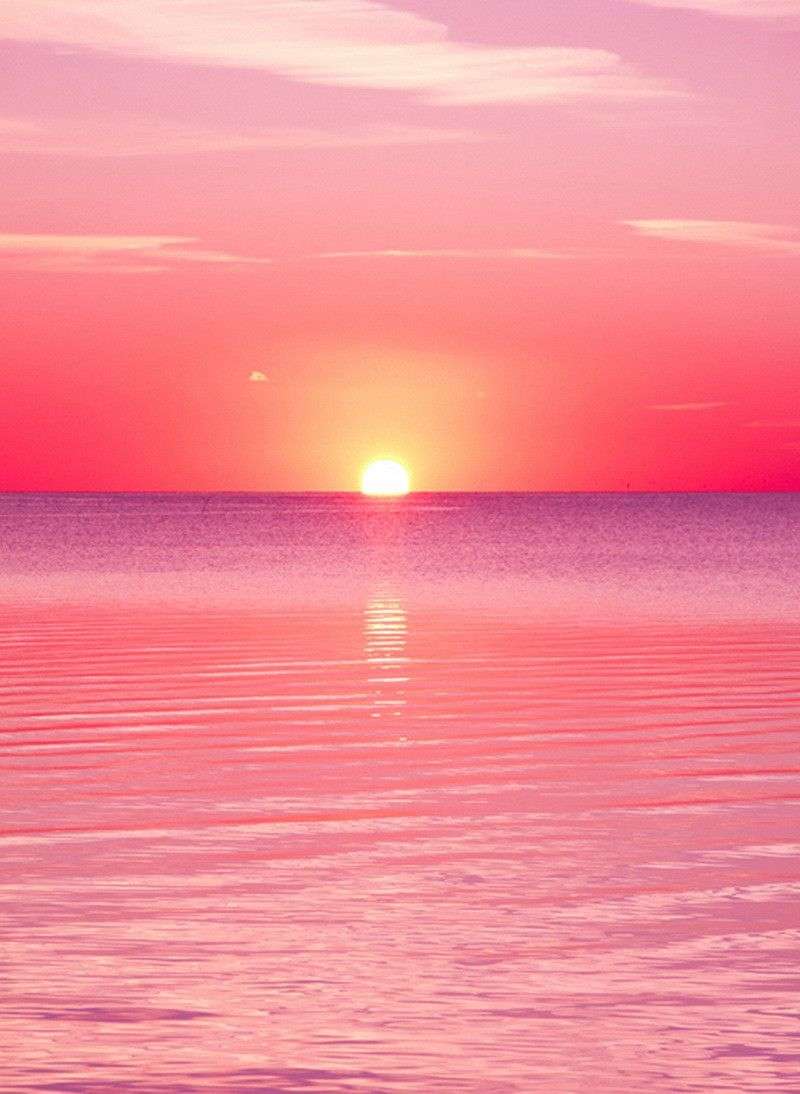 800x1094 Beach Aesthetic Landscape Pastel Pink Beach Wallpaper Picture POOH WALL