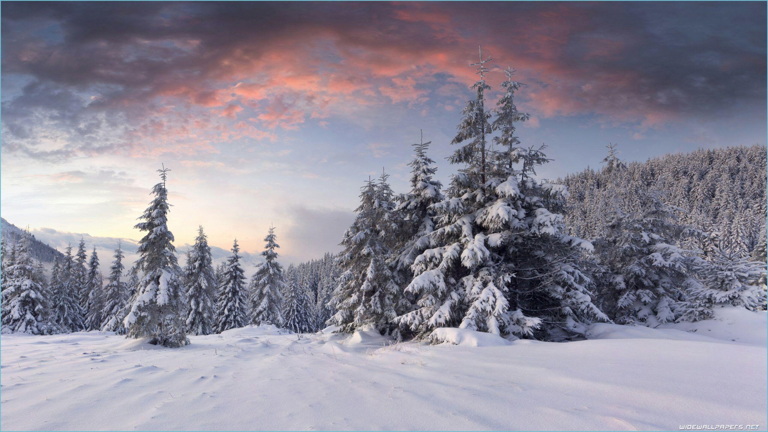 2560x1440 Winter Desktop Wallpaper 12K Ultra HD Desktop Wallpaper