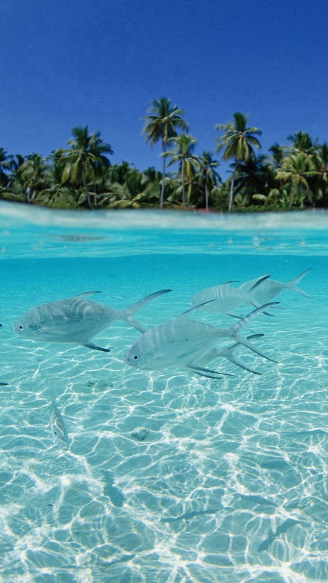1080x1920 Dominican Republic Beaches Wallpaper