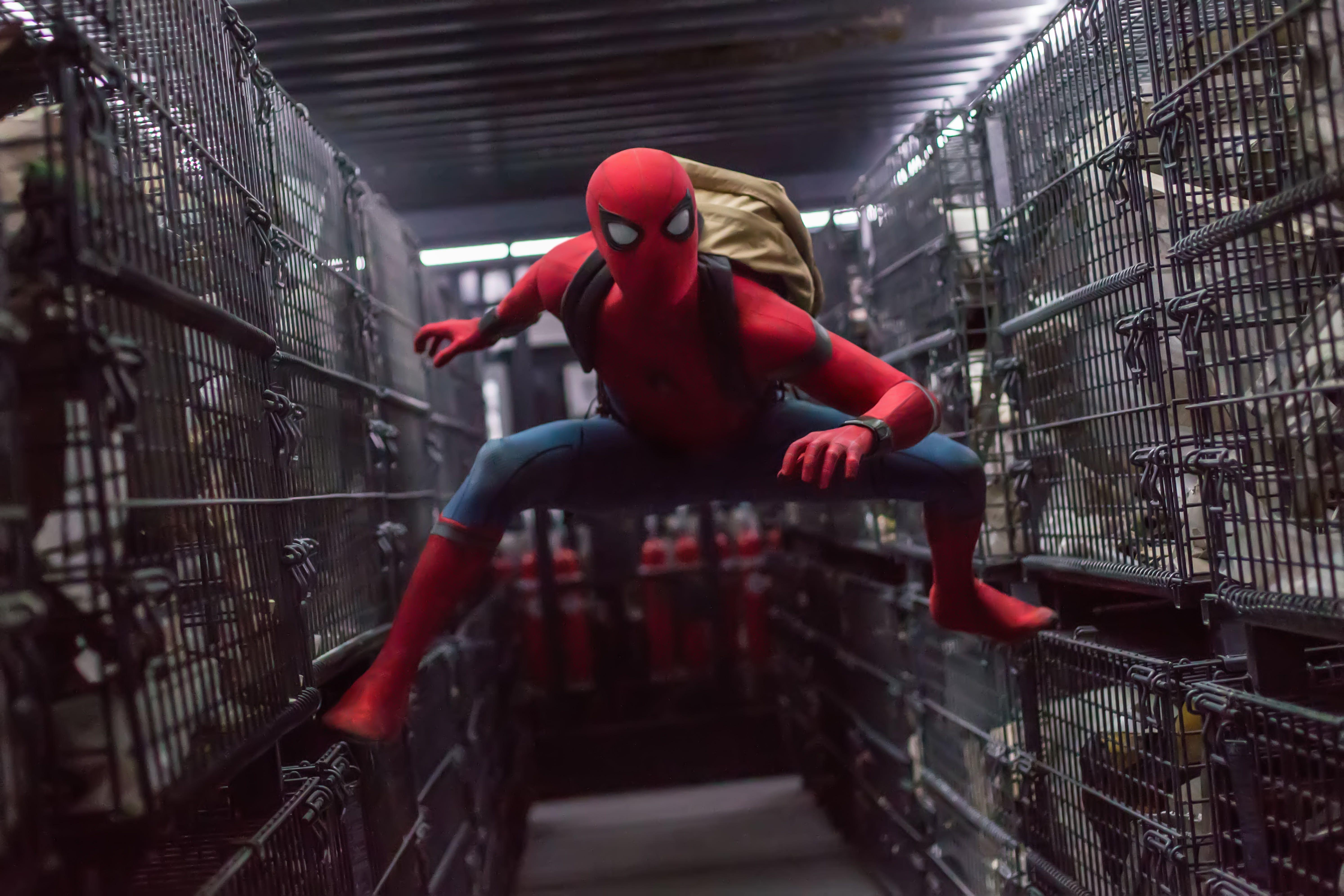 5976x3984 Spider Man Homecoming 3D Wallpaper HD Wallpaper