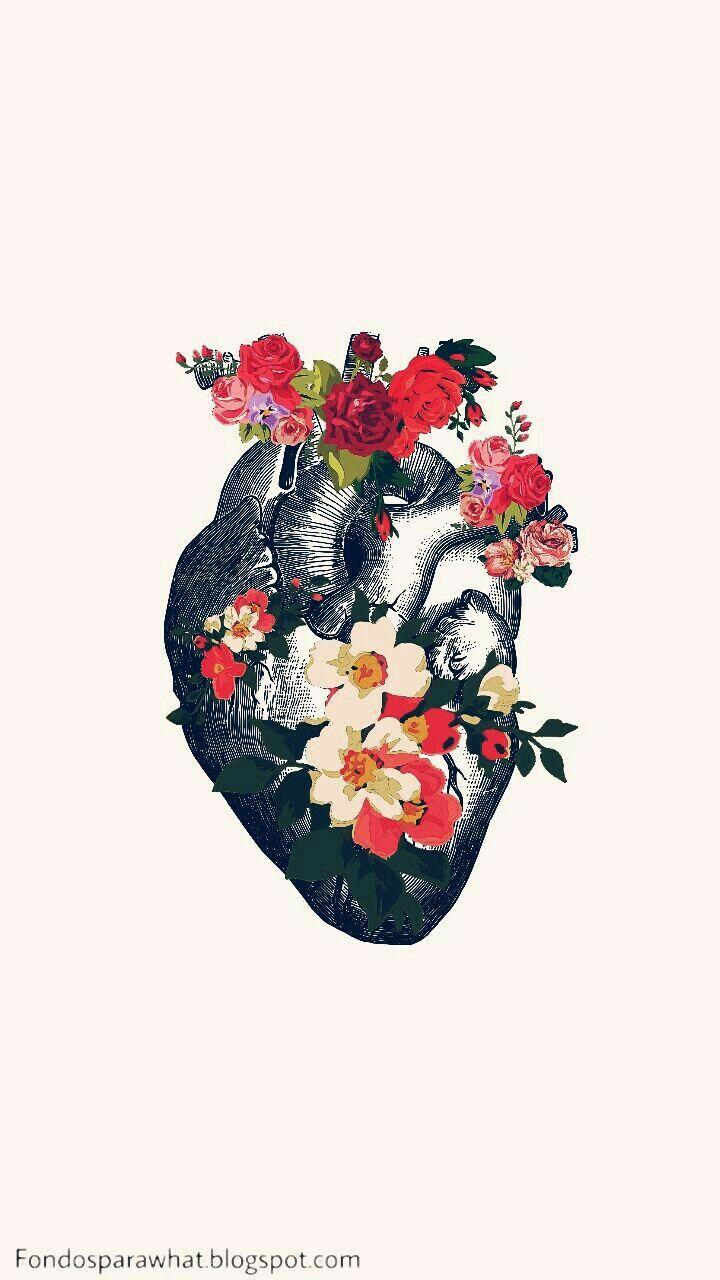 720x1280 Anatomy Phone Wallpaper