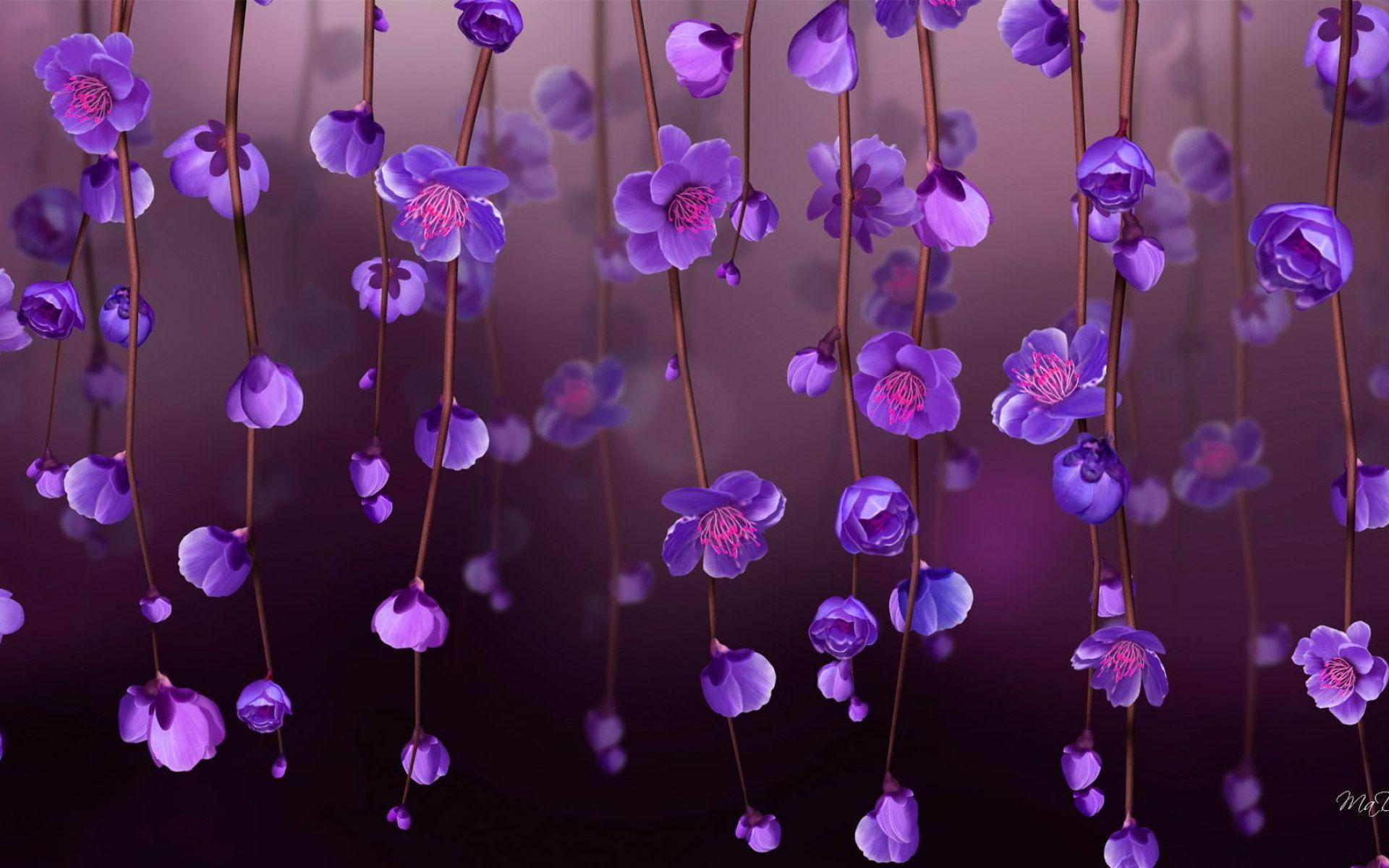 1920x1200 Purple orchid digital wallpaper, pink petaled flowers, purple flowers • Wallpaper For You HD Wallpaper For Desktop & Mobile