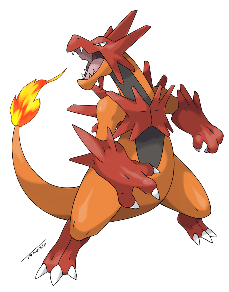 800x1018 Picture Of Mega Charizard