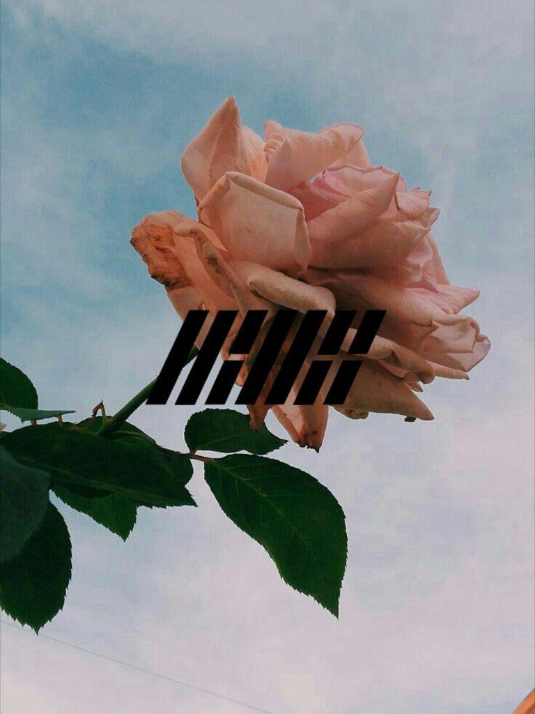 768x1024 Free download Ikon kpop aesthetic wallpaper iphone tumblr Wallpaper Kpop [1080x1920] for your Desktop, Mobile & Tablet. Explore iPhone Ikon Wallpaper. iPhone Ikon Wallpaper, Junhoe IKon Wallpaper, Jay IKon Wallpaper