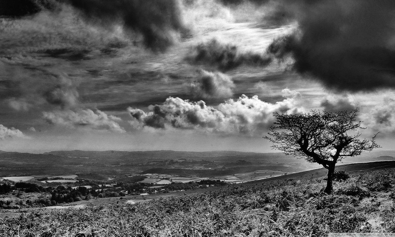 1280x768 Landscape Wallpaper Black And White HD Wallpaper