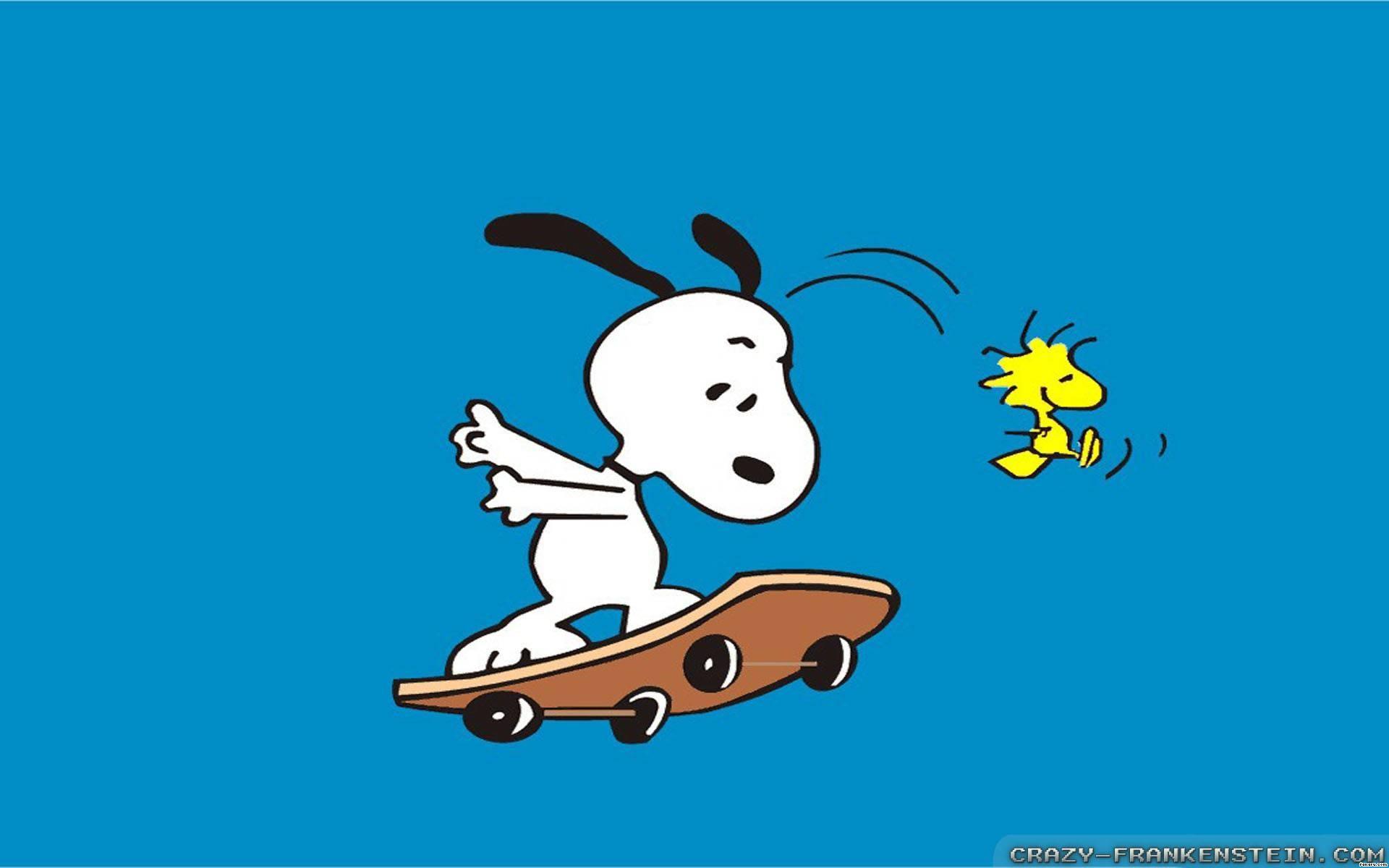 1920x1200 Aesthetic Skater Laptop Wallpaper