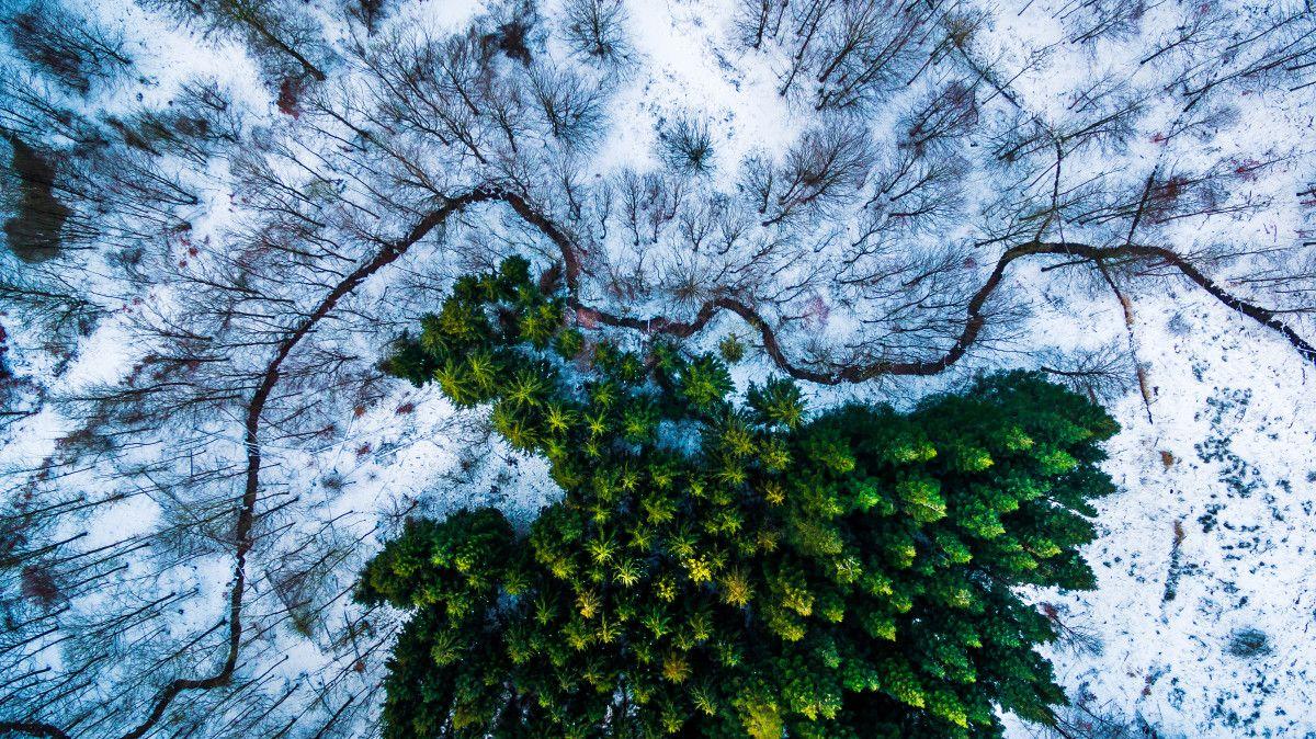1200x674 of the Best Drone Pics From 2016