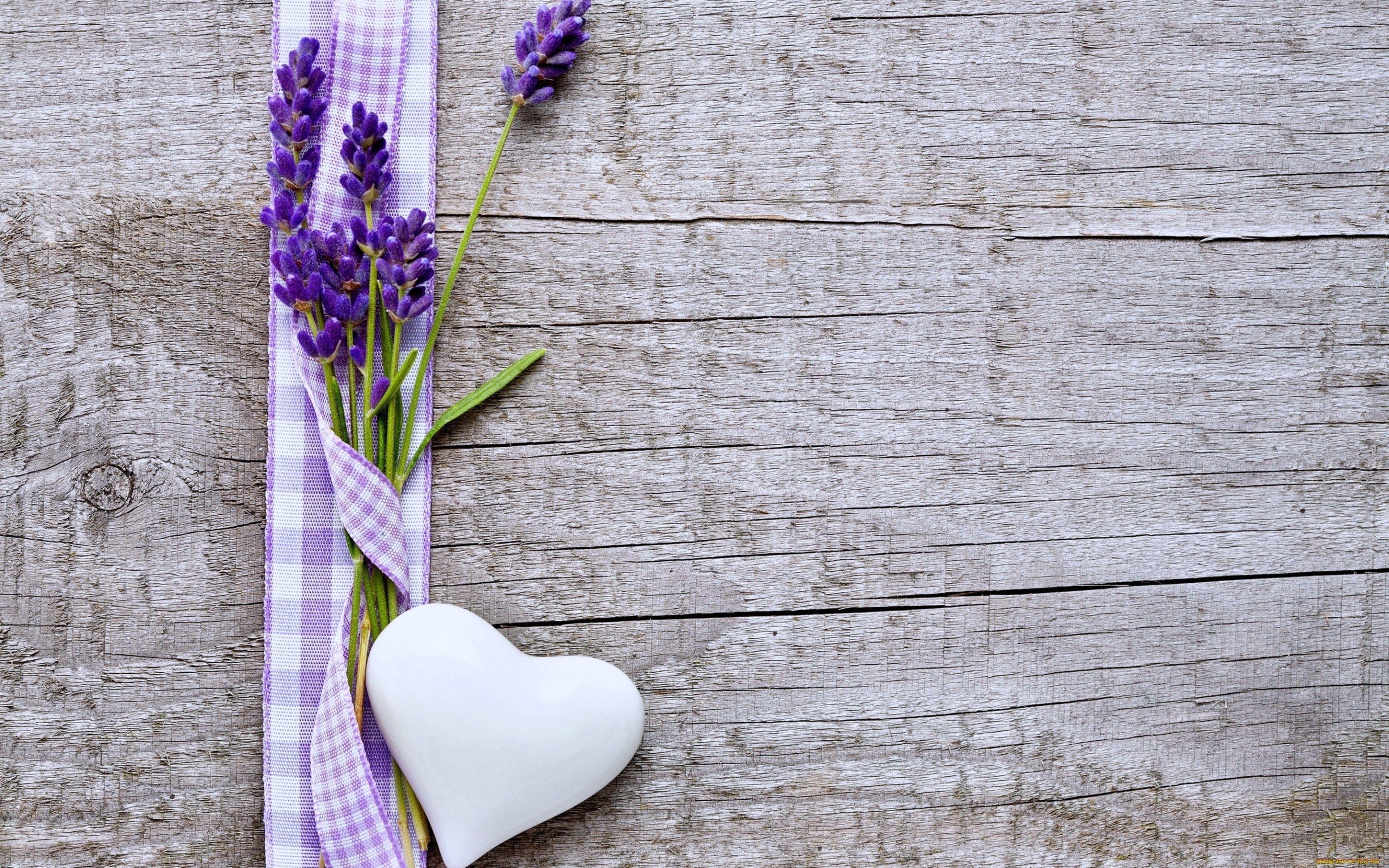 3840x2400 Flowers Hearts Love Emotions Woods Lavender Purple Flower Wallpaper For Desktop Wallpaper & Background Download