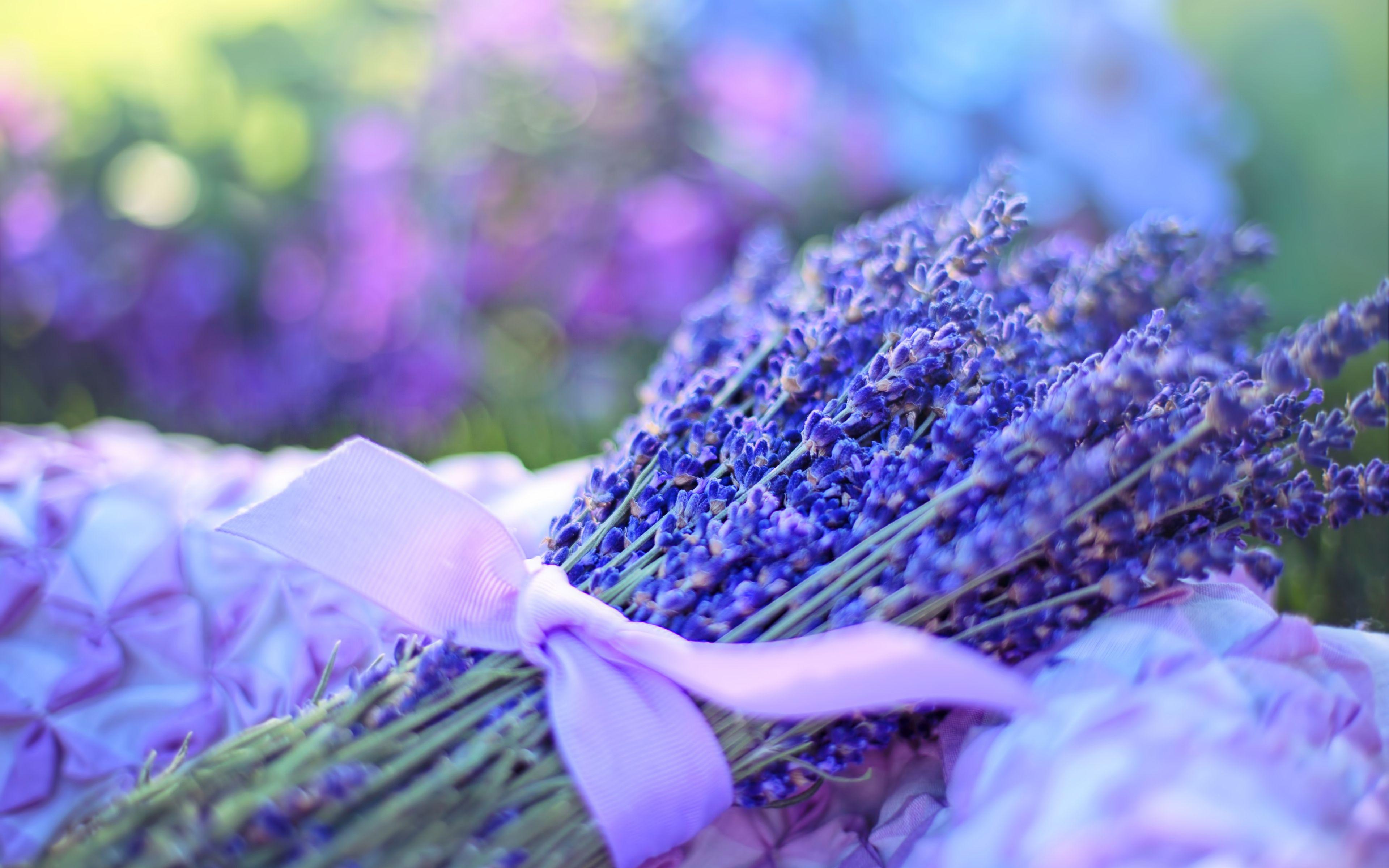 3840x2400 Desktop Wallpaper Bokeh, Fresh Flowers, Lavender, Purple, HD Image, Picture, Background, Cd9867