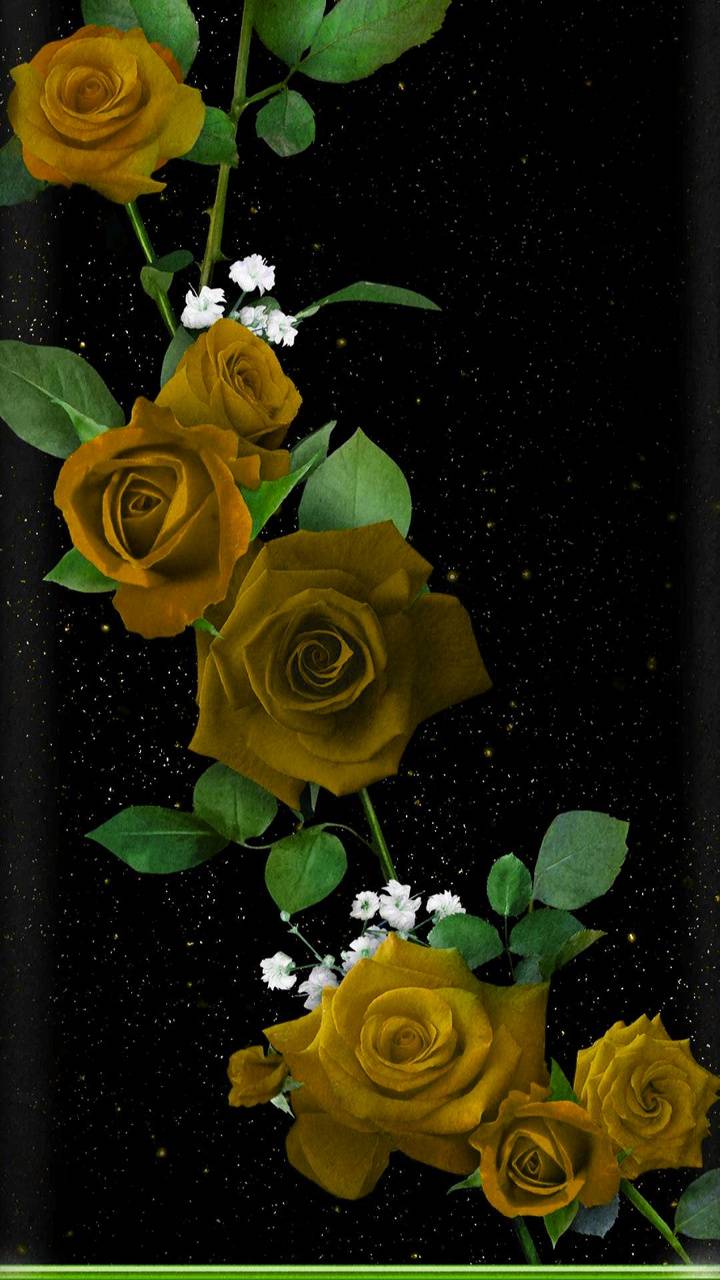 Black and Yellow Roses Wallpapers - Top Free Black and Yellow Roses Backgrounds - WallpaperAccess