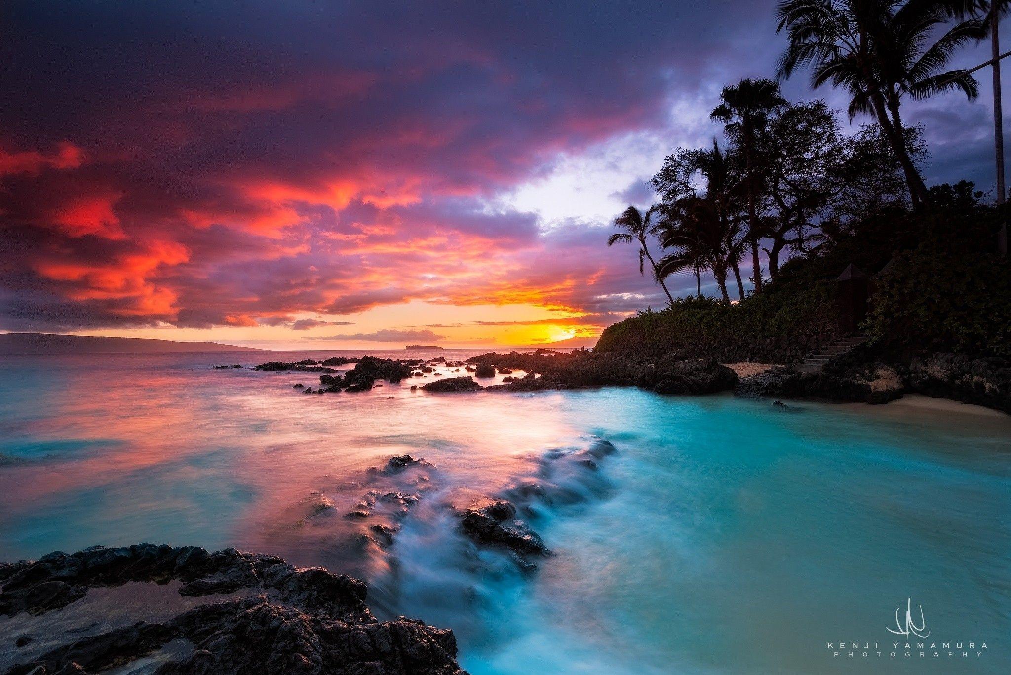 2048x1367 1680x1050 Water, Forest, Beach, Night, Reflection wallpaper JPG