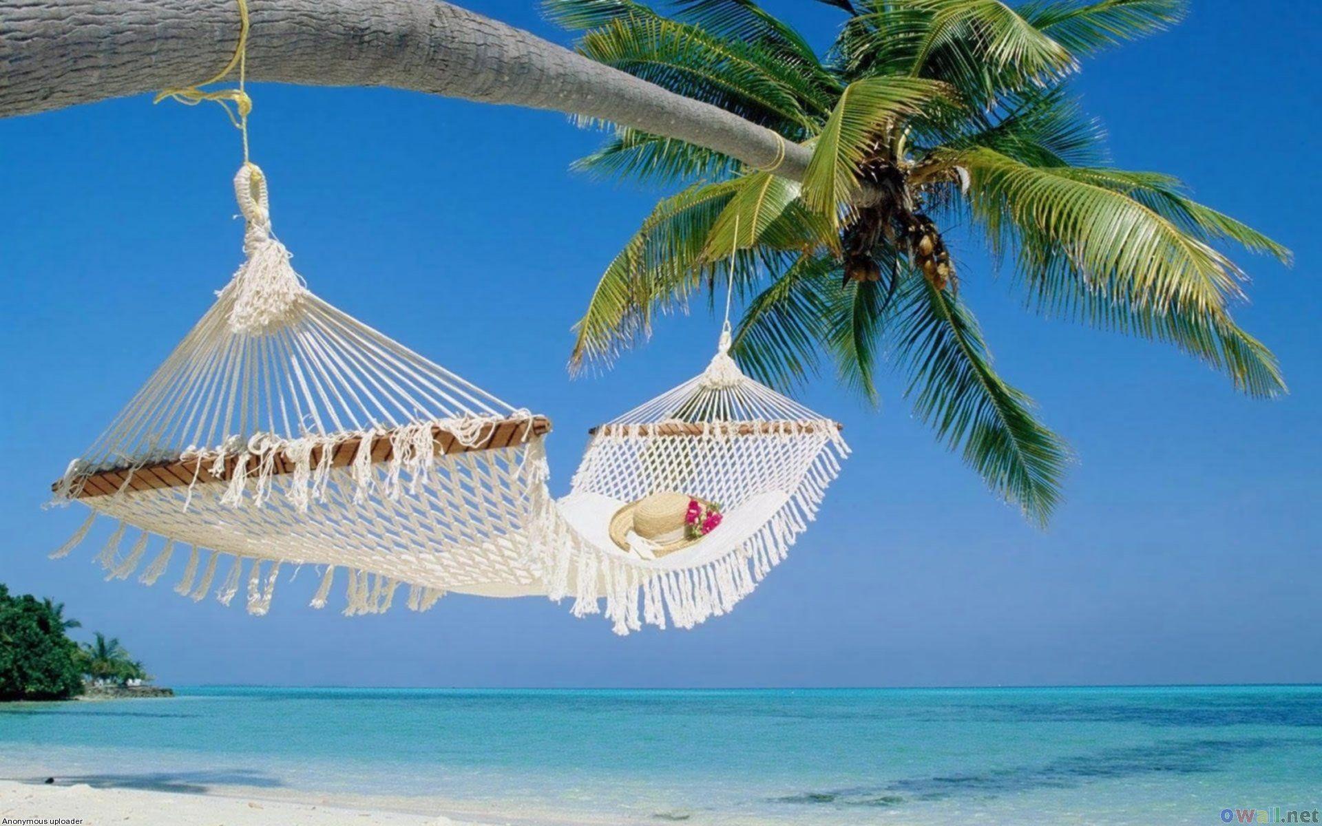 1920x1200 Summer Scenes Free Wallpaper