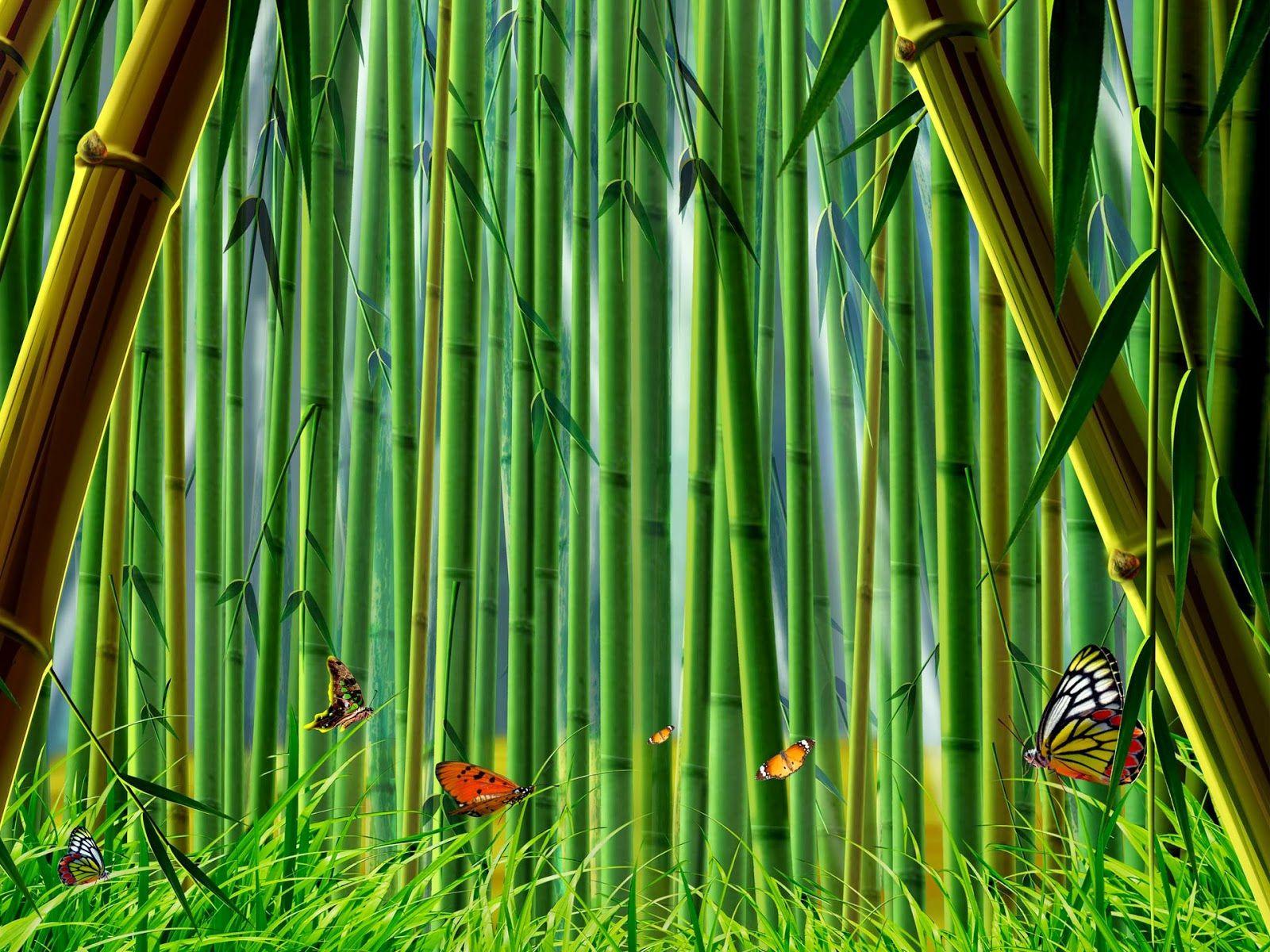 1600x1200 Cartoon Bamboo Background .