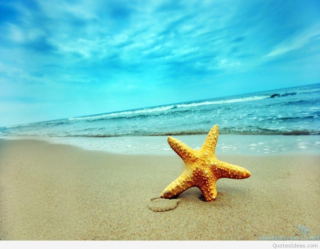 1024x795 Collections HD Summer Wallpaper For Desktop