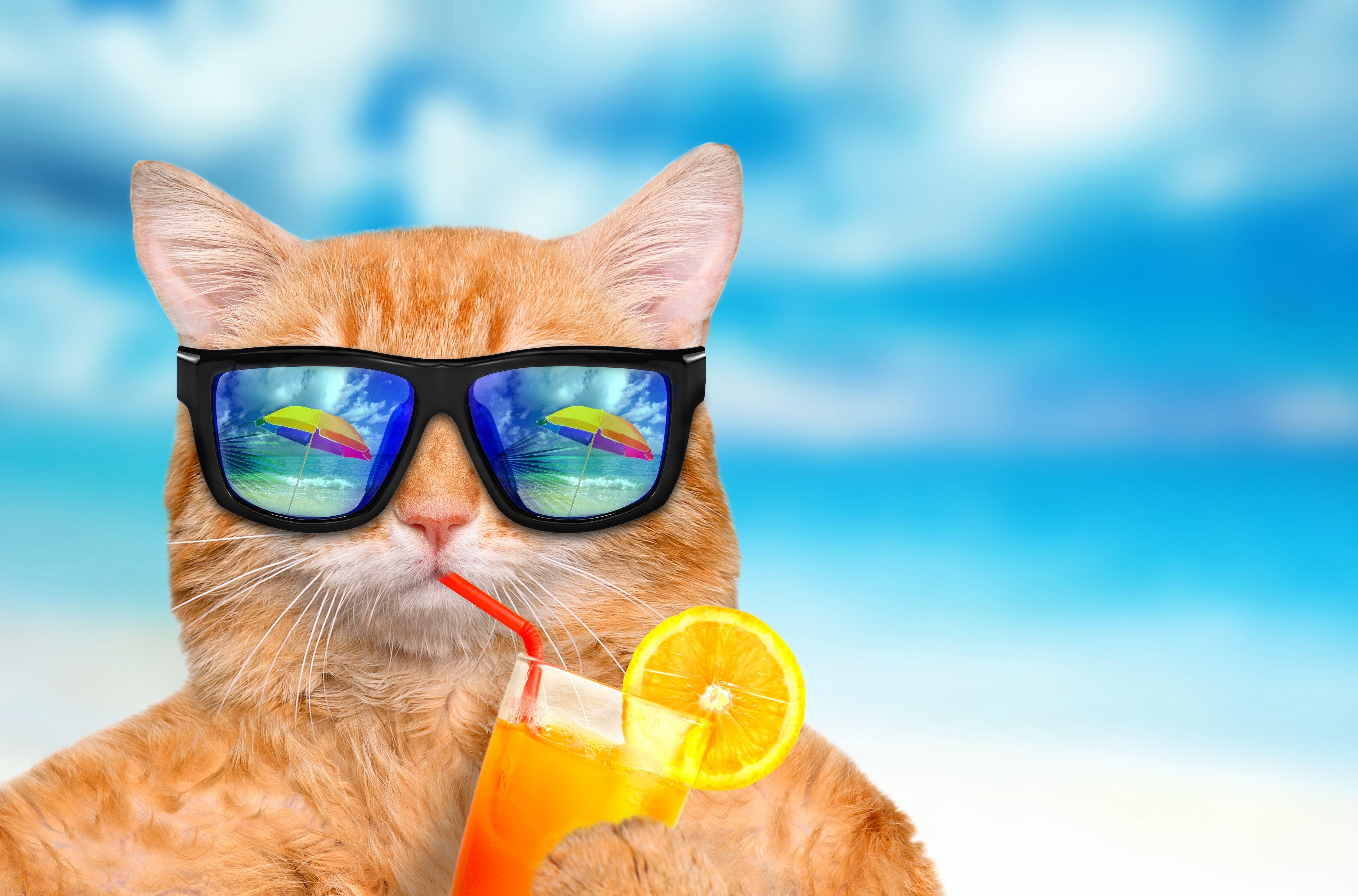 5735x3786 Summer Wallpaper Pinterest Desktop