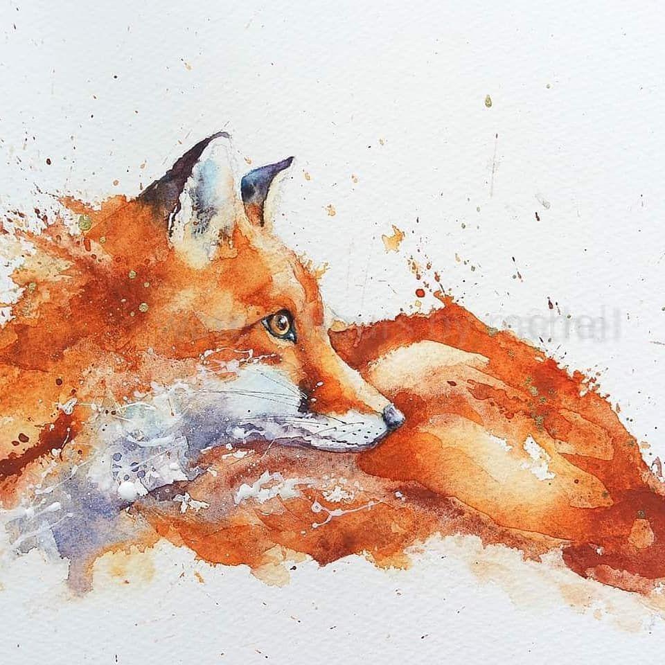 960x960 Watercolor fox by watercoloursbyrachel • #foxesofinstagram #fox #BigArtBoost #thedailysketch #devon #animal. Fox painting, Watercolor fox painting, Watercolor fox