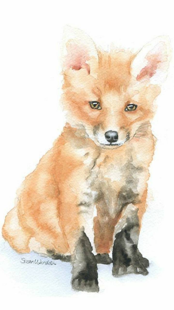 720x1280 Fox wallpaper