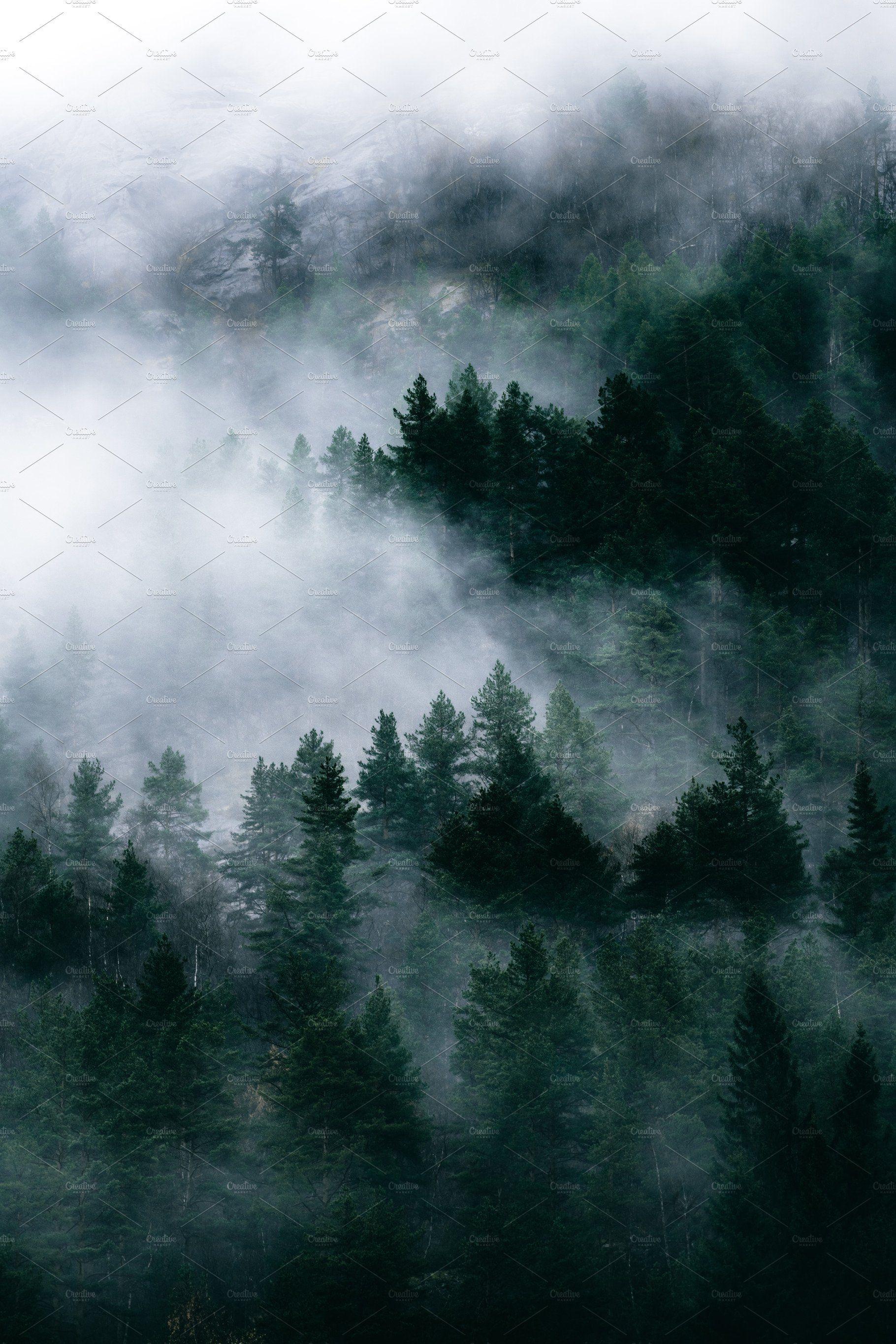 1820x2729 Moody Forest in Autumn with Fog by PhotoMarket. Landscape photography nature, Forest photography, Landscape photography