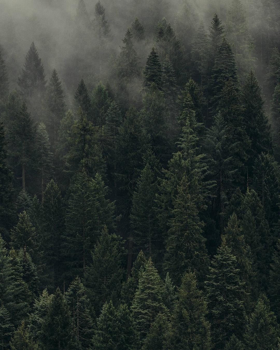 1080x1350 image Of The Wild
