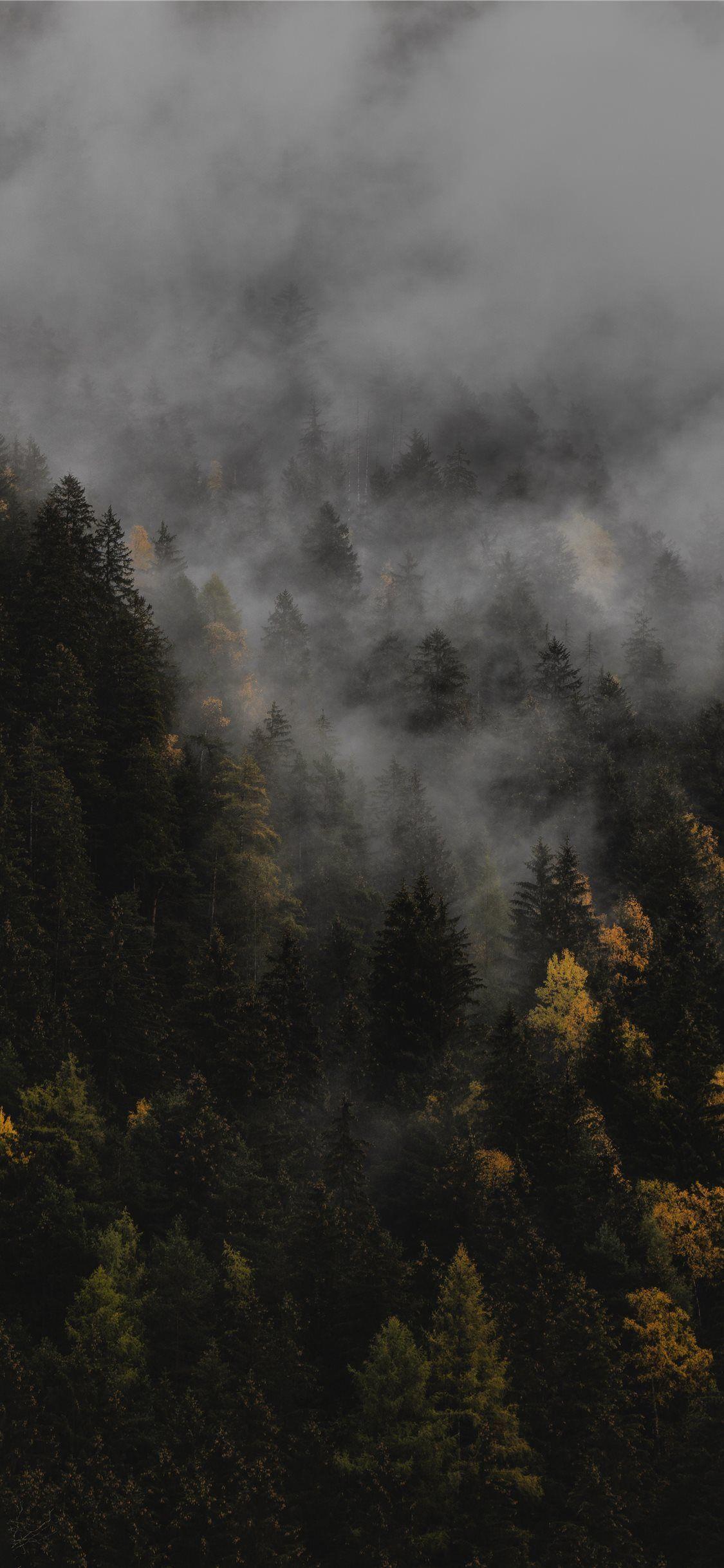 1125x2436 The Autumn #Rieserferner AhrnNaturePark #italy #androidwallpaper #nature #autumn #fall #iPhone11Wal. Autumn Phone Wallpaper, IPhone Wallpaper Fall, Fall Wallpaper