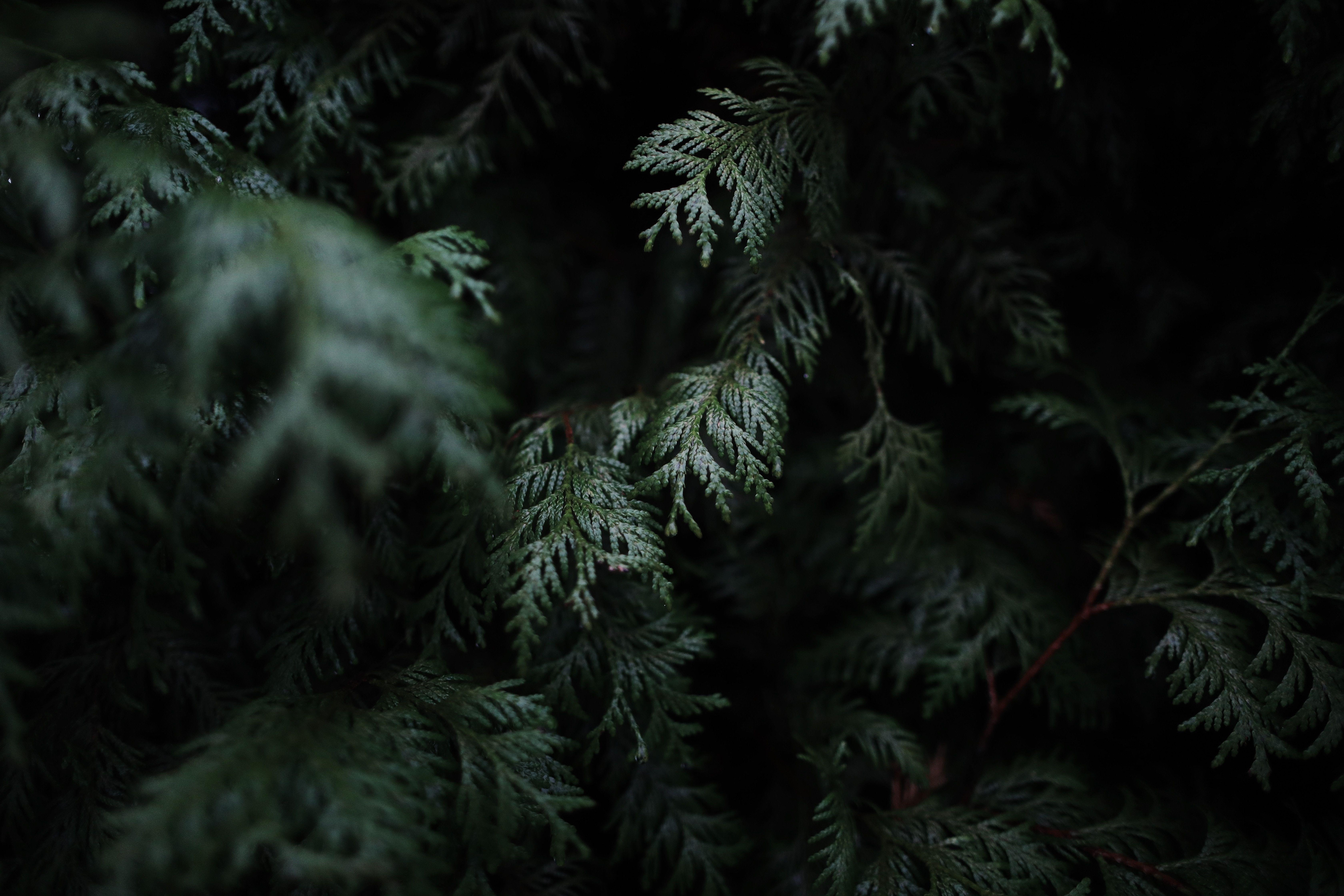 6720x4480 Dark Moody Wallpaper