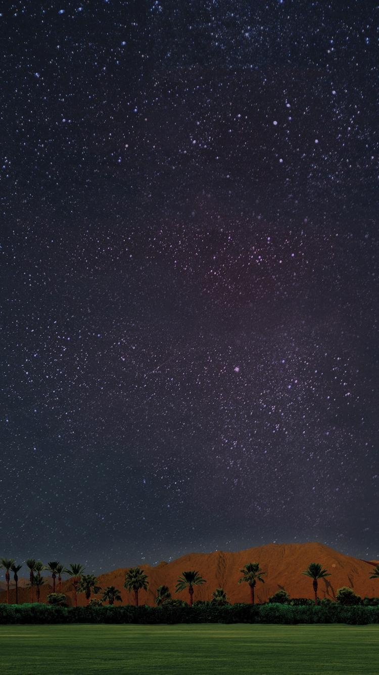 750x1334 Setup Coachella (iOS 8)