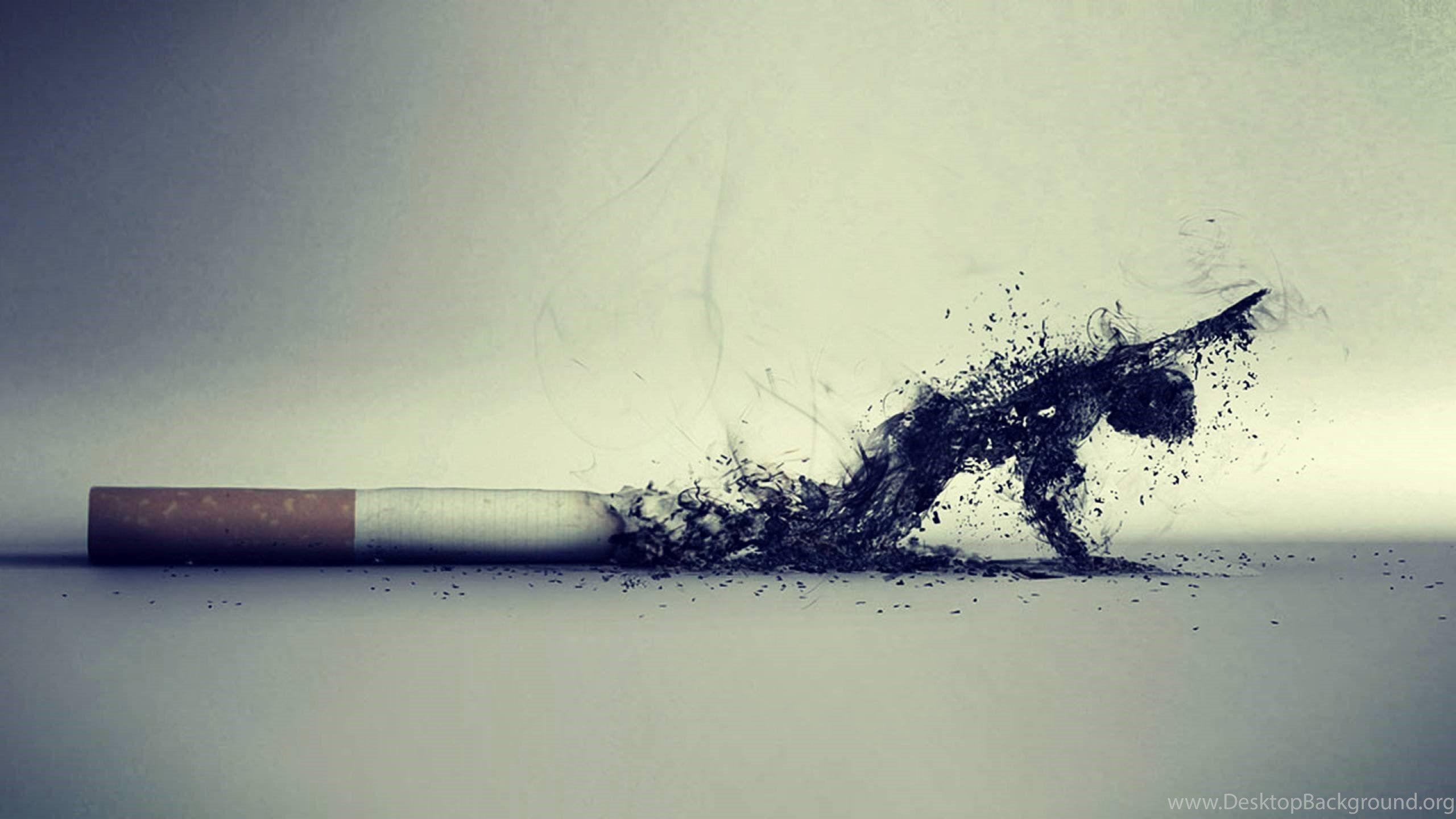 2560x1440 Smoking Kills Cool Illustration Free Wallpaper HD Desktop Background