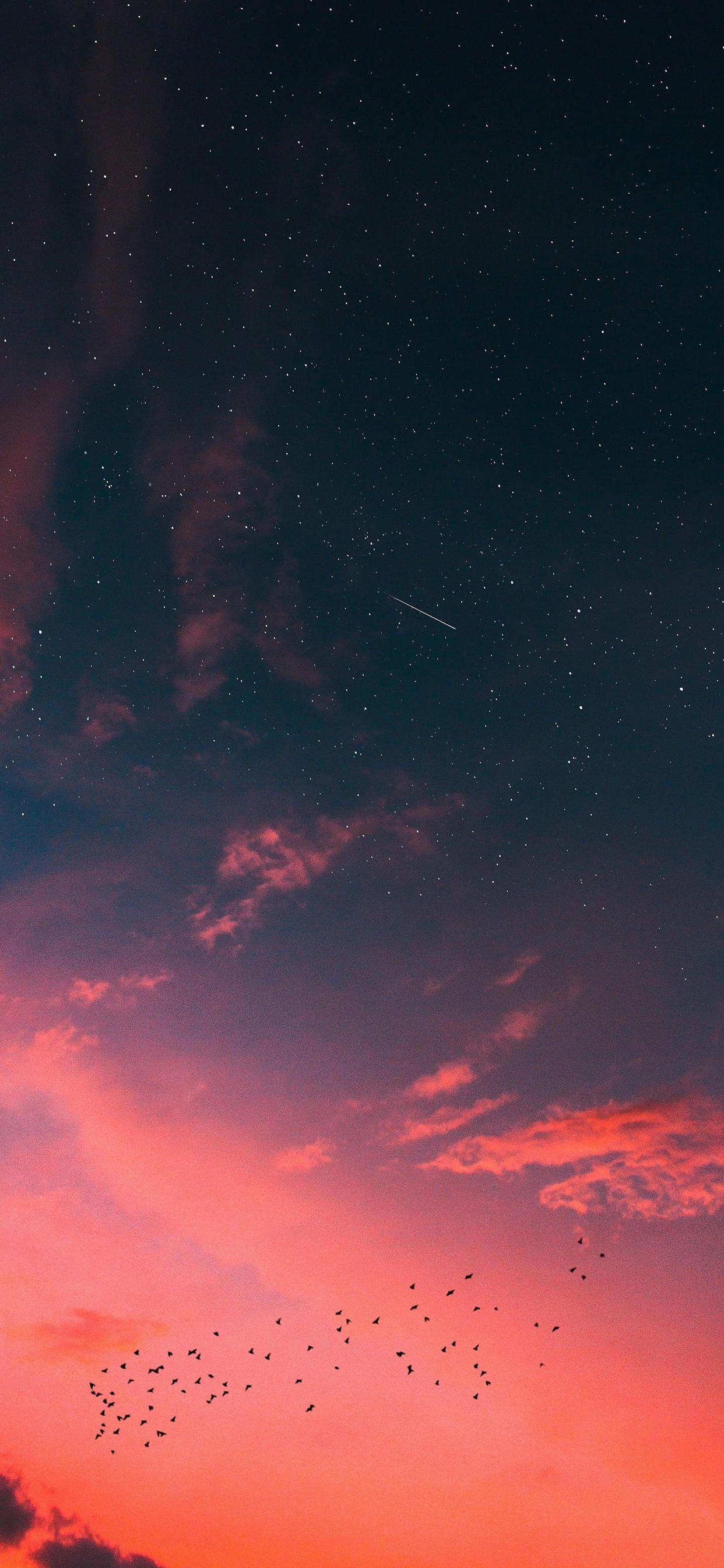 1242x2688 Background HD Wallpaper