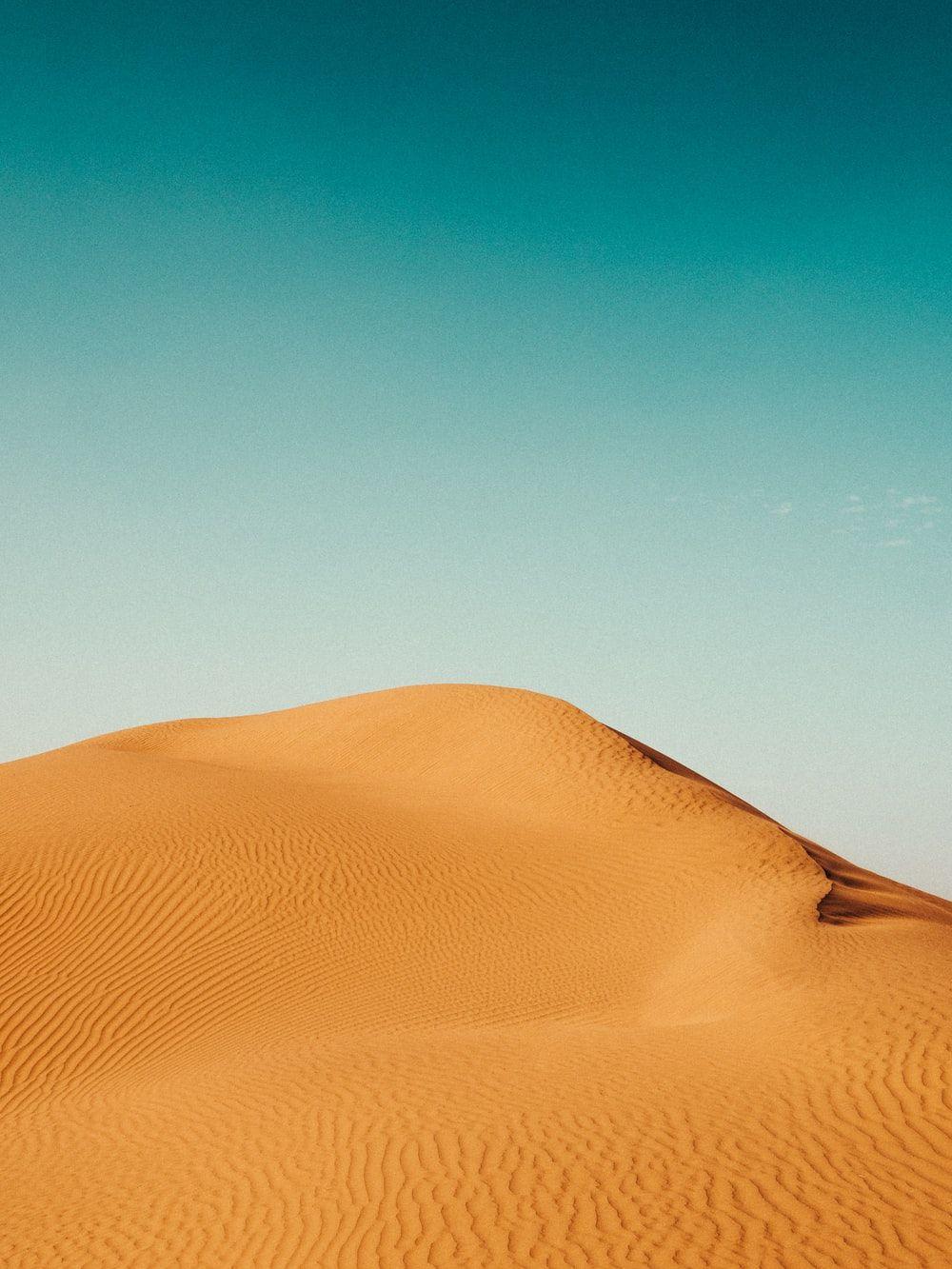 1000x1333 Free Desert Picture