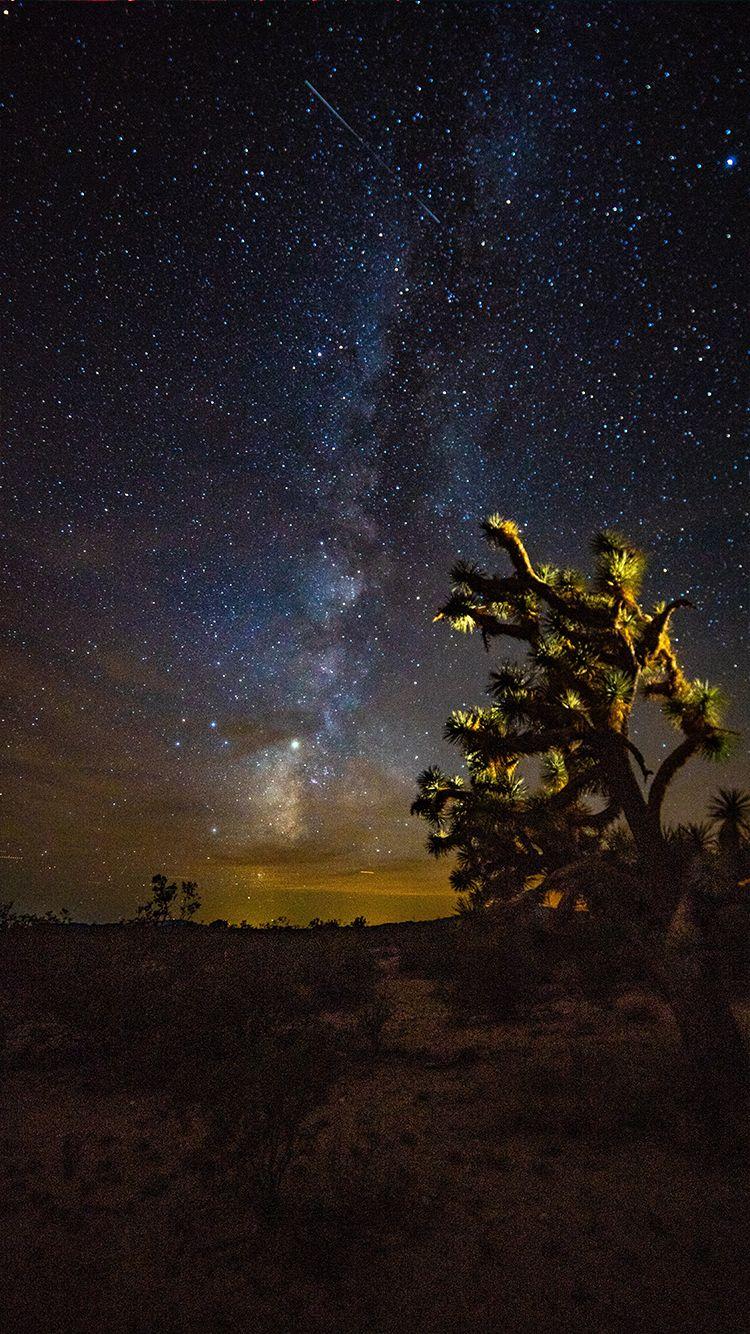 750x1334 Nature Themed Phone Wallpaper, Nature Themed Phone Desert Night Sky Wallpaper & Background Download
