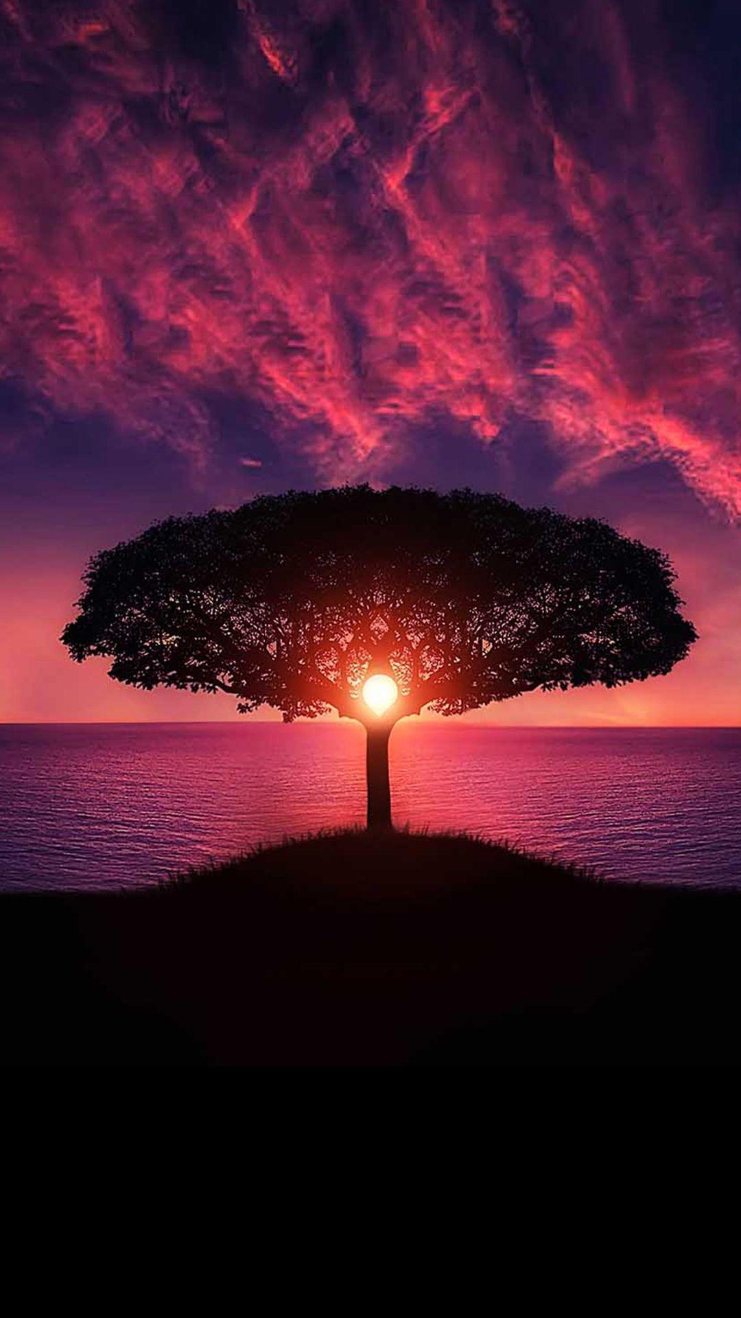 1080x1920 Phone HDR Wallpaper