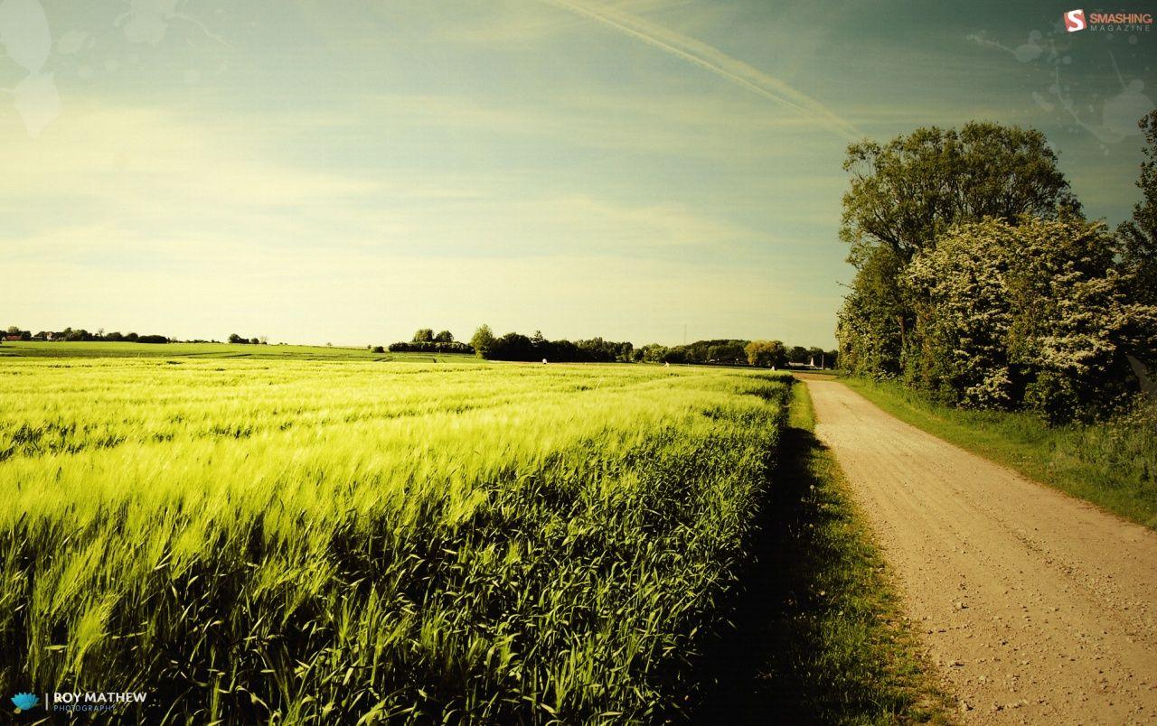 1280x804 Nice summer day wallpaper. Nice summer day