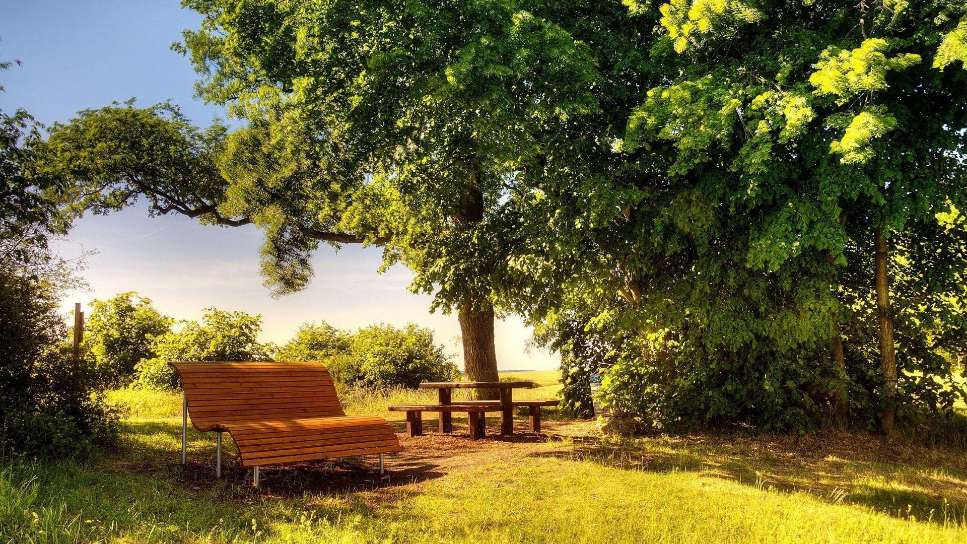 1920x1080 Wonderful Sunny Day Wallpaper .