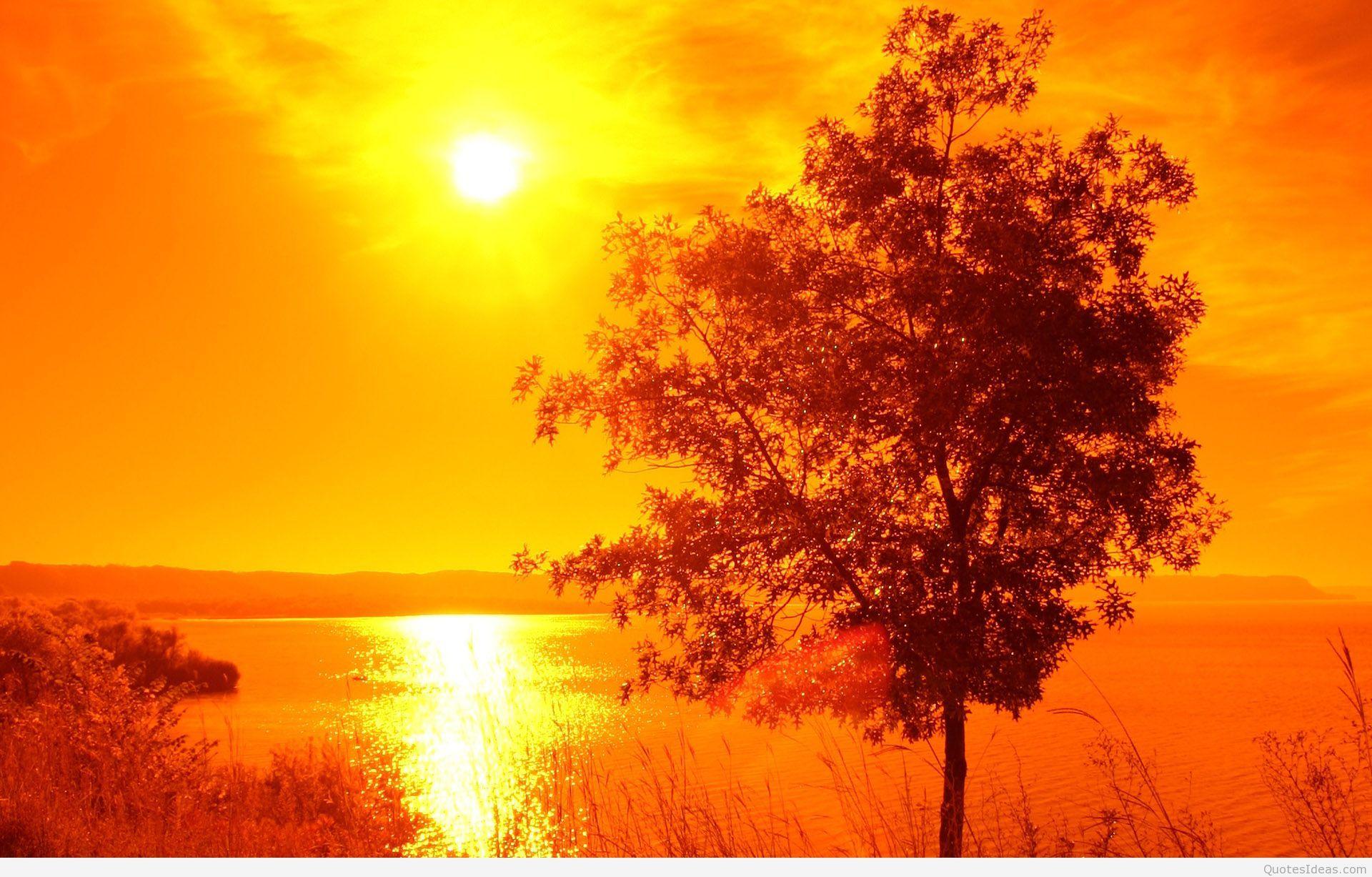 1920x1227 Summer background and wallpaper HD 2015 2016